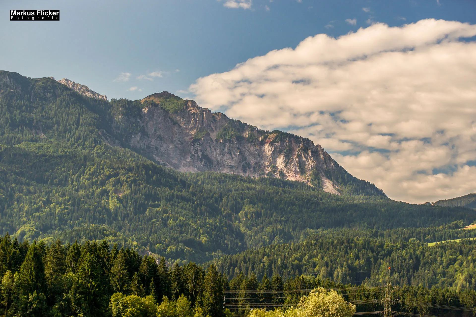 Flora Fauna Landscape Street Travel Photography Portfolio