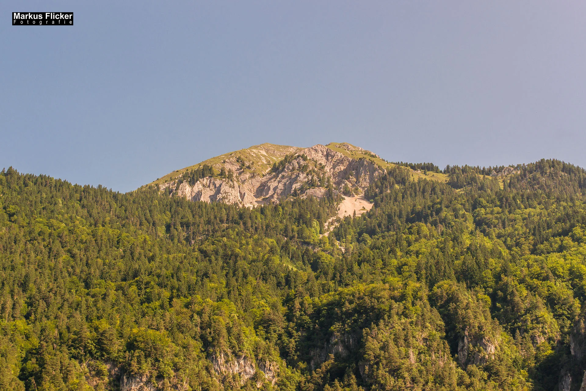 Flora Fauna Landscape Street Travel Photography Portfolio
