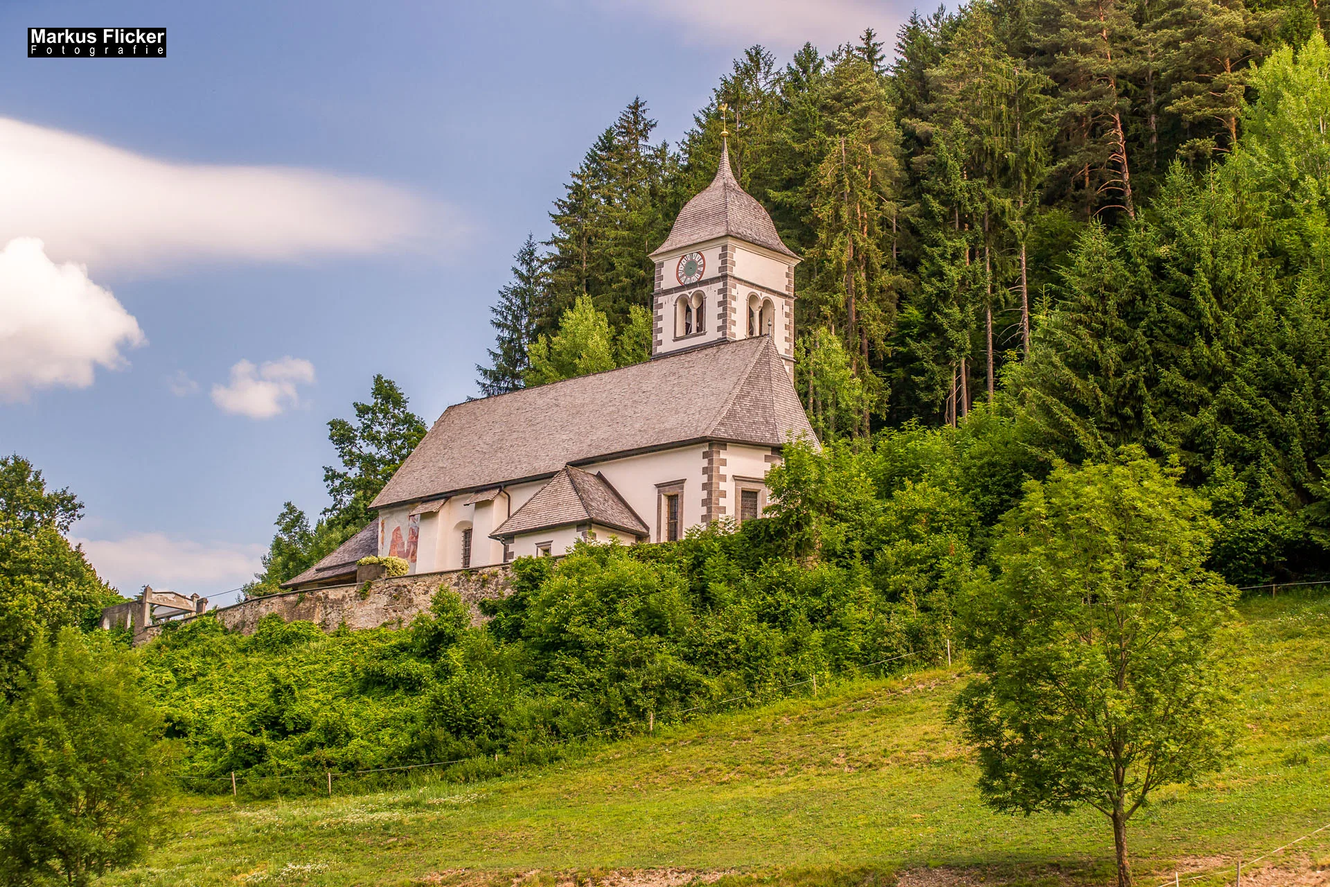 Flora Fauna Landscape Street Travel Photography Portfolio