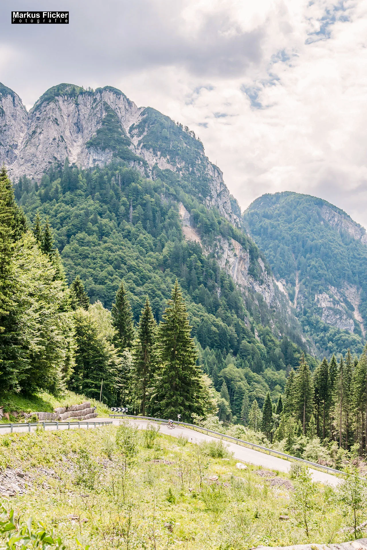 Flora Fauna Landscape Street Travel Photography Portfolio