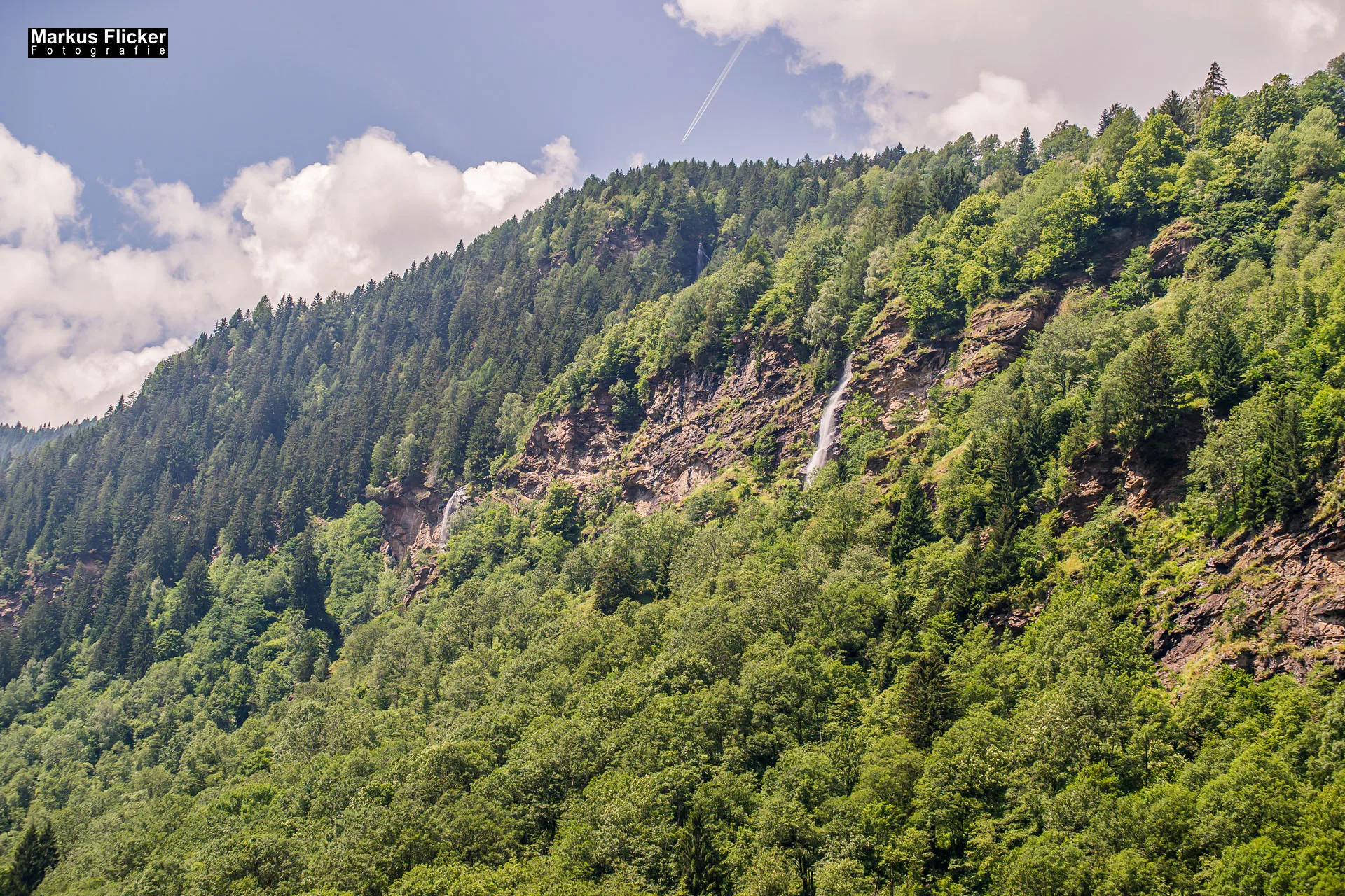 Flora Fauna Landscape Street Travel Photography Portfolio
