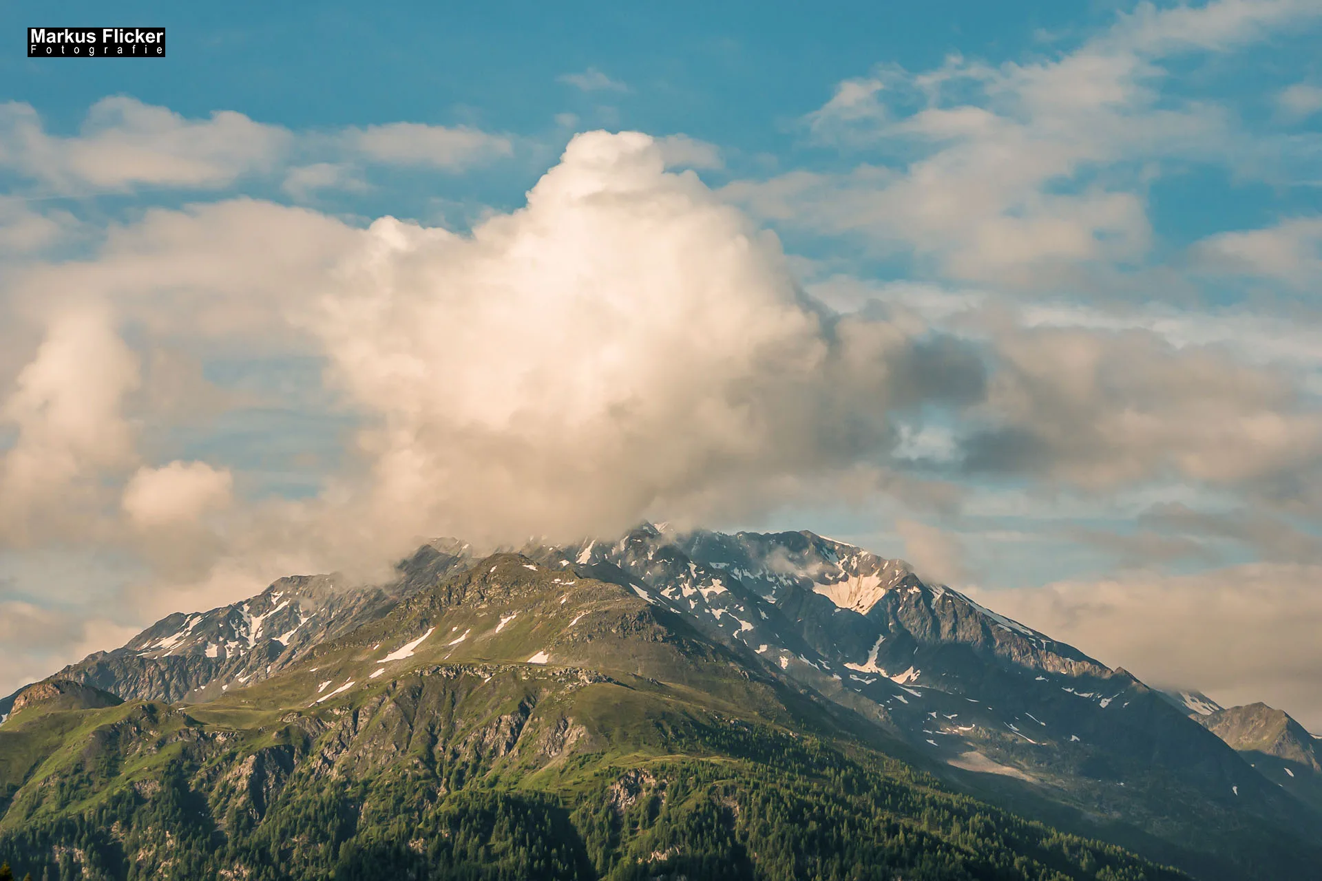 Flora Fauna Landscape Street Travel Photography Portfolio