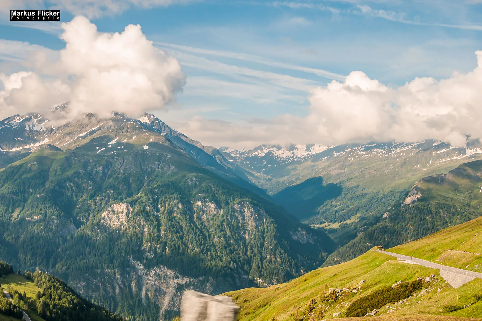 Flora Fauna Landscape Street Travel Photography Portfolio