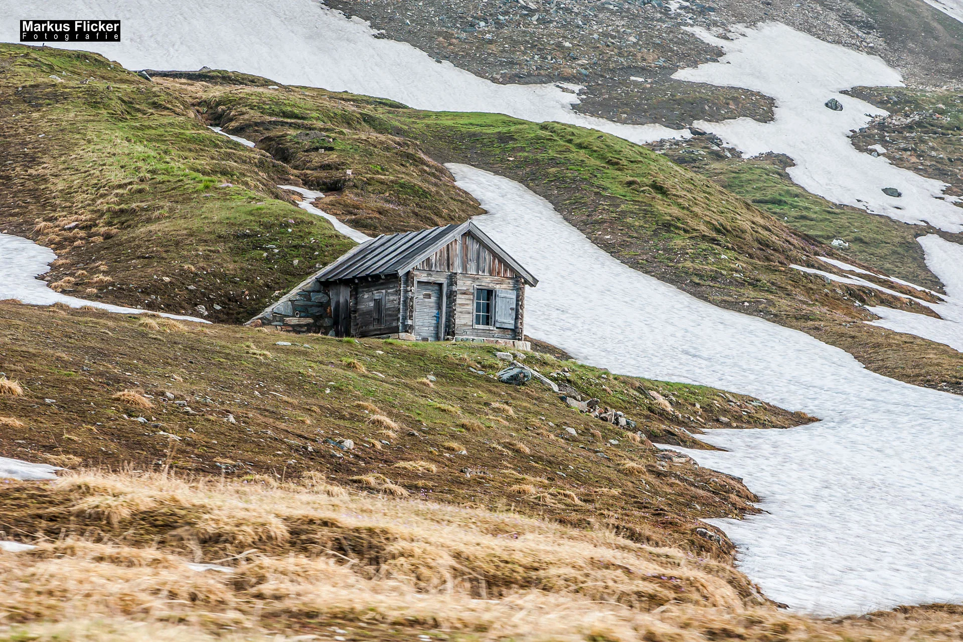 Flora Fauna Landscape Street Travel Photography Portfolio