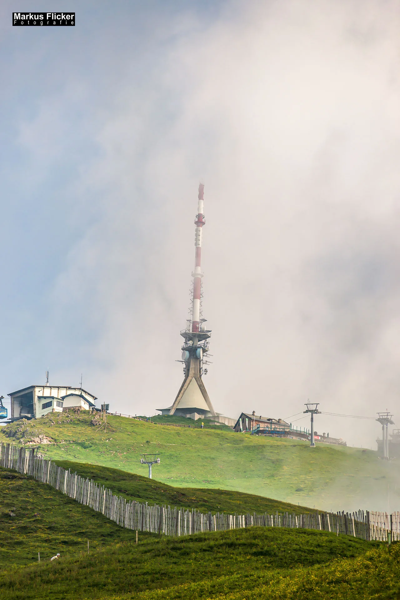 Flora Fauna Landscape Street Travel Photography Portfolio