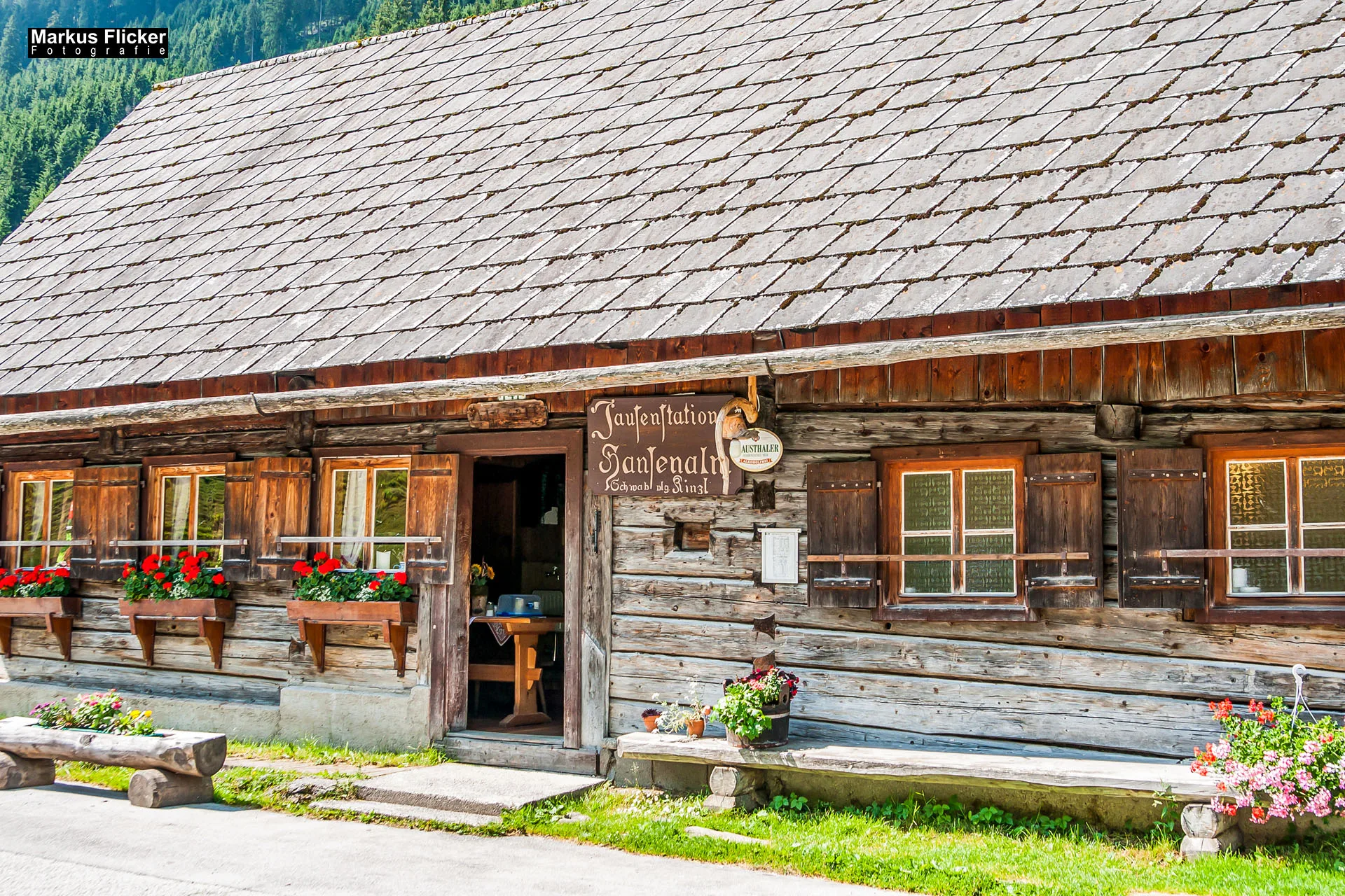 Flora Fauna Landscape Street Travel Photography Portfolio