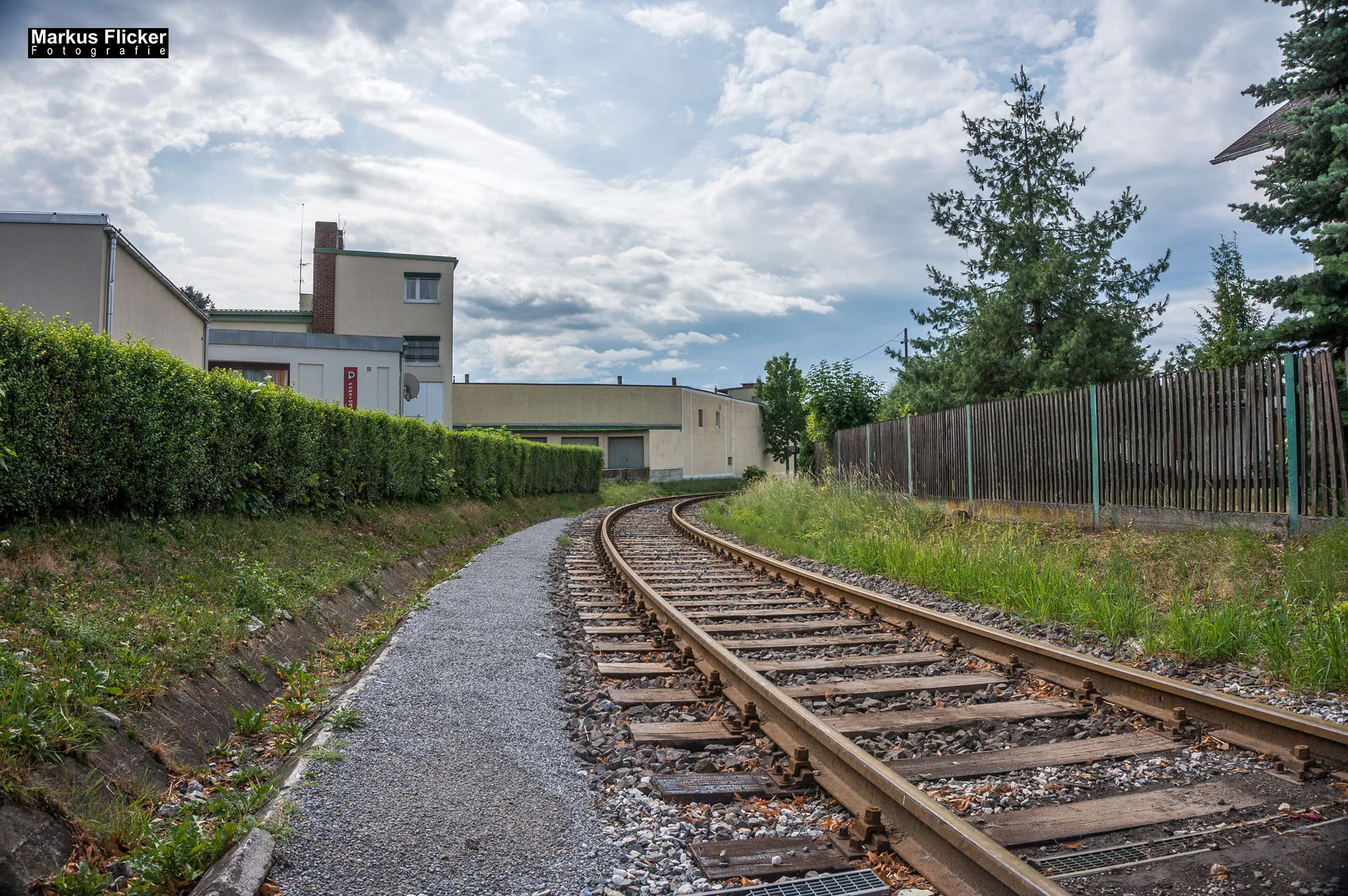 Flora Fauna Landscape Street Travel Photography Portfolio