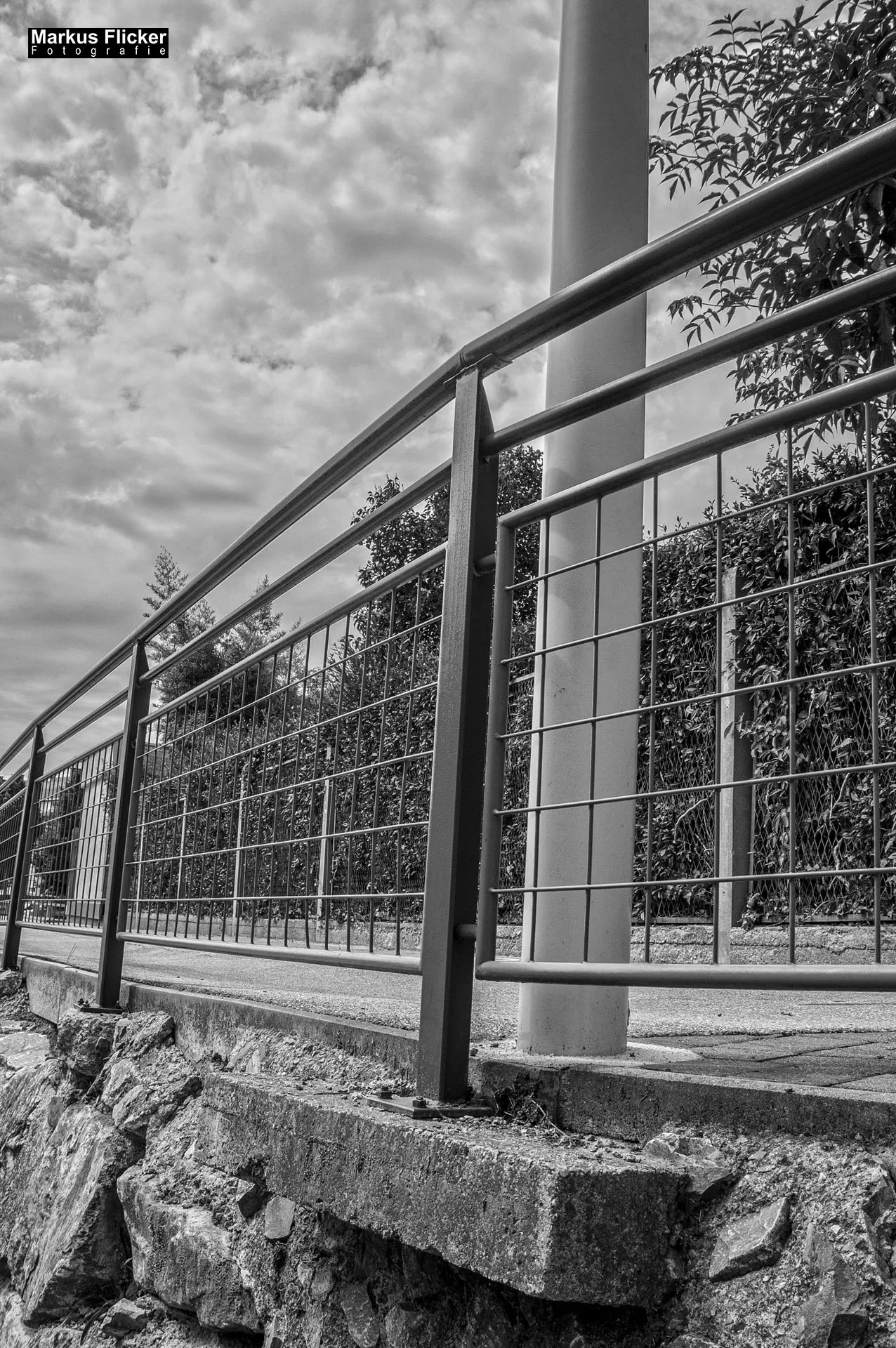 Flora Fauna Landscape Street Travel Photography Portfolio