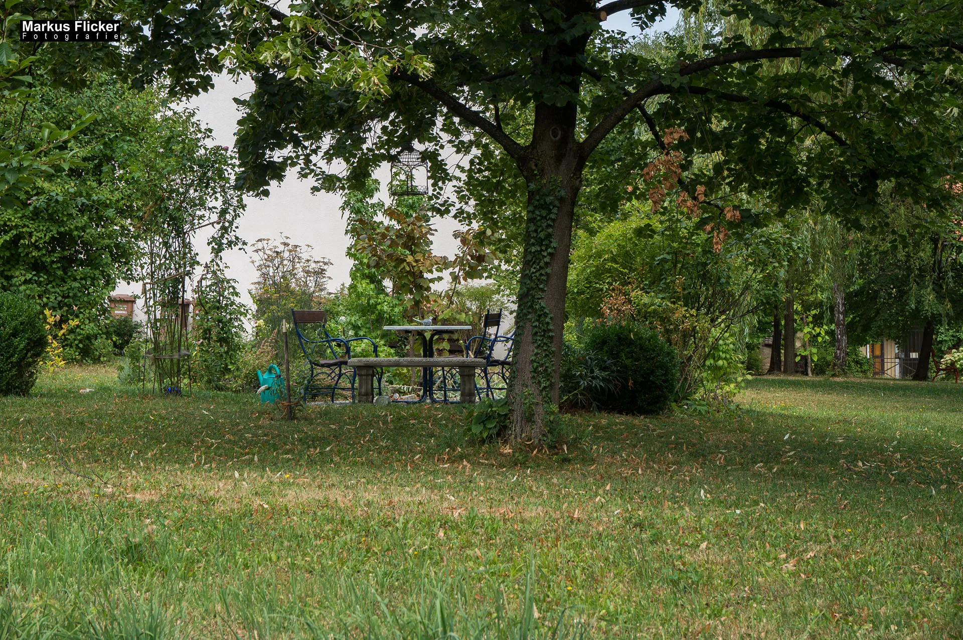 Flora Fauna Landscape Street Travel Photography Portfolio