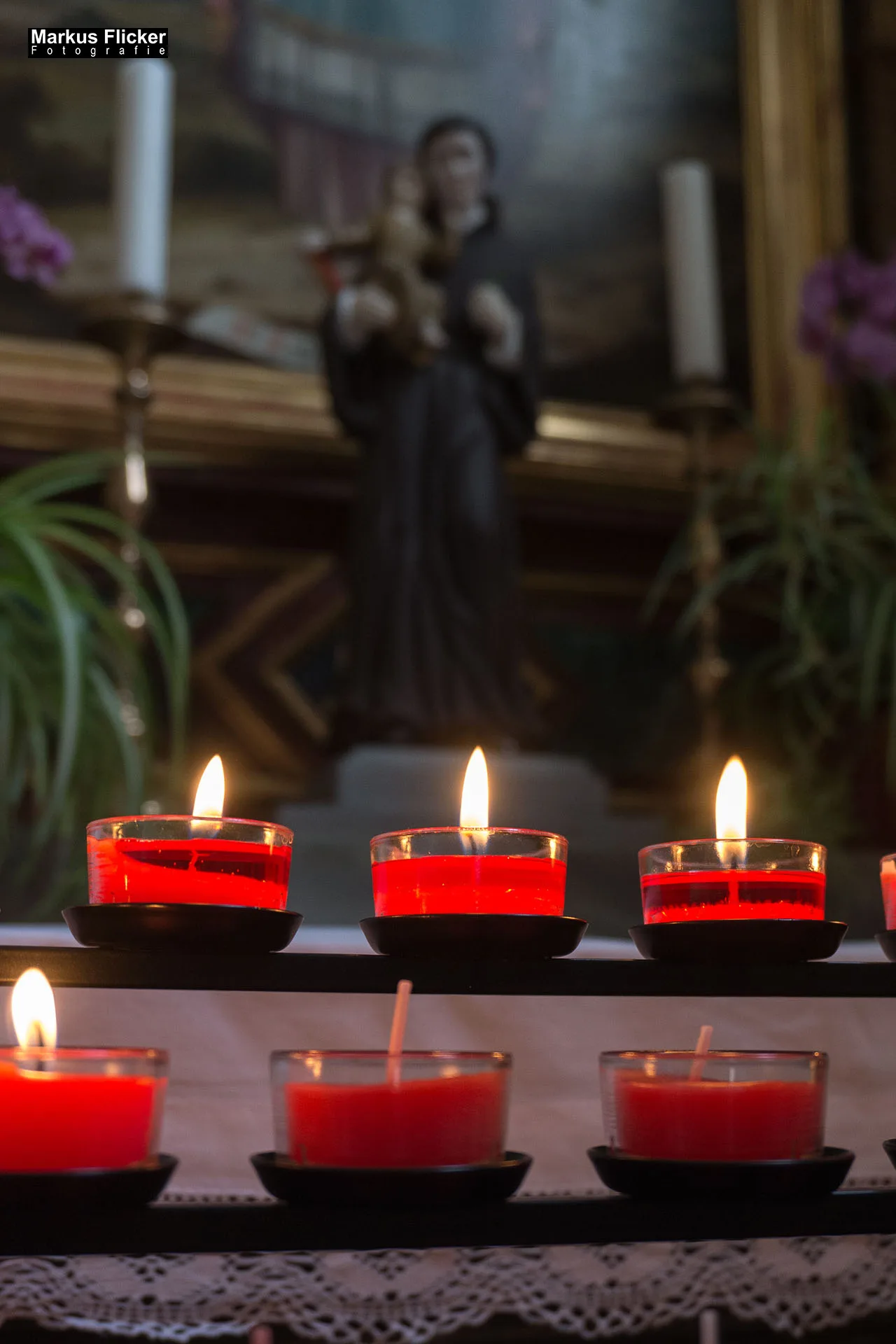 Flora Fauna Landscape Street Travel Photography Portfolio