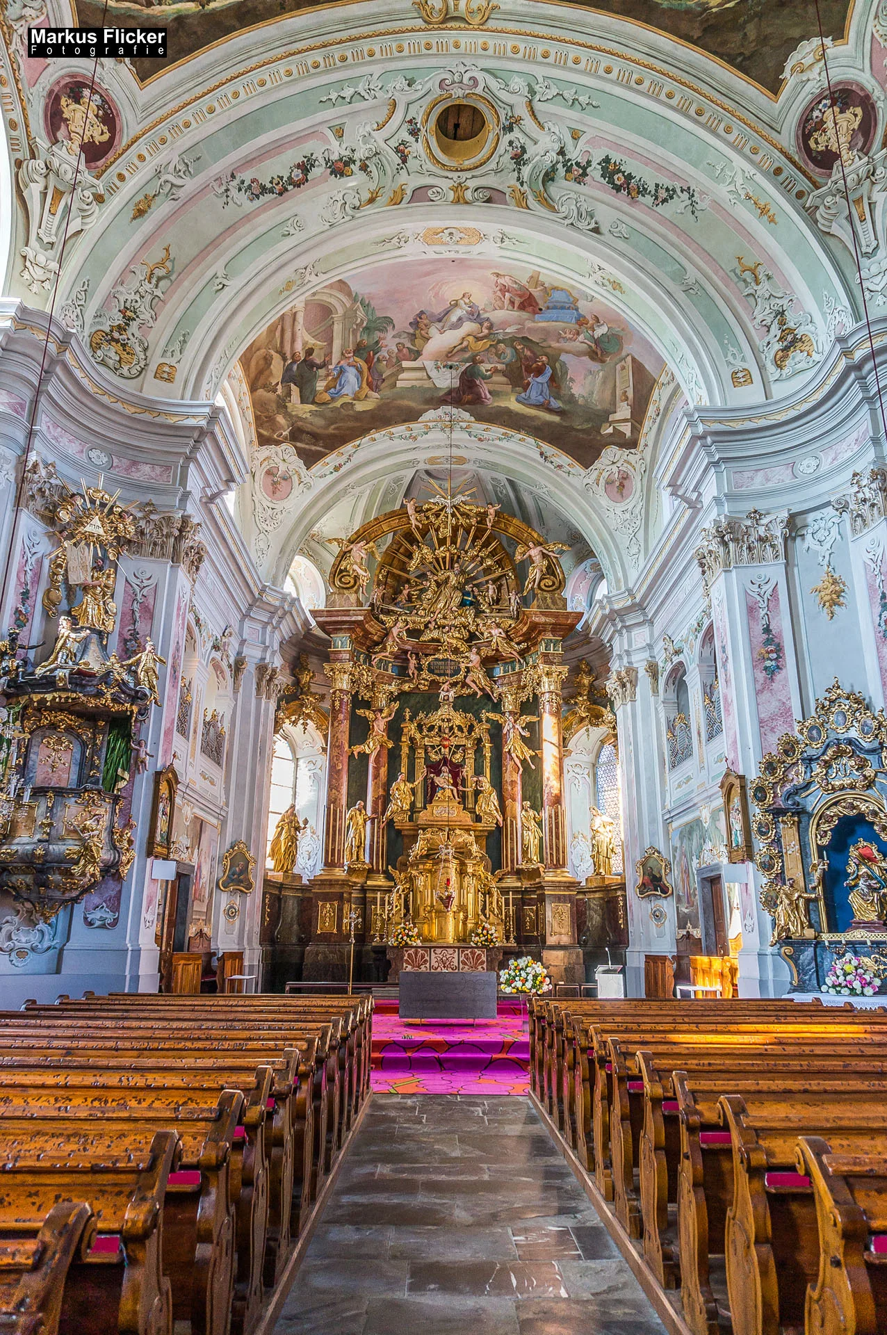 Flora Fauna Landscape Street Travel Photography Portfolio