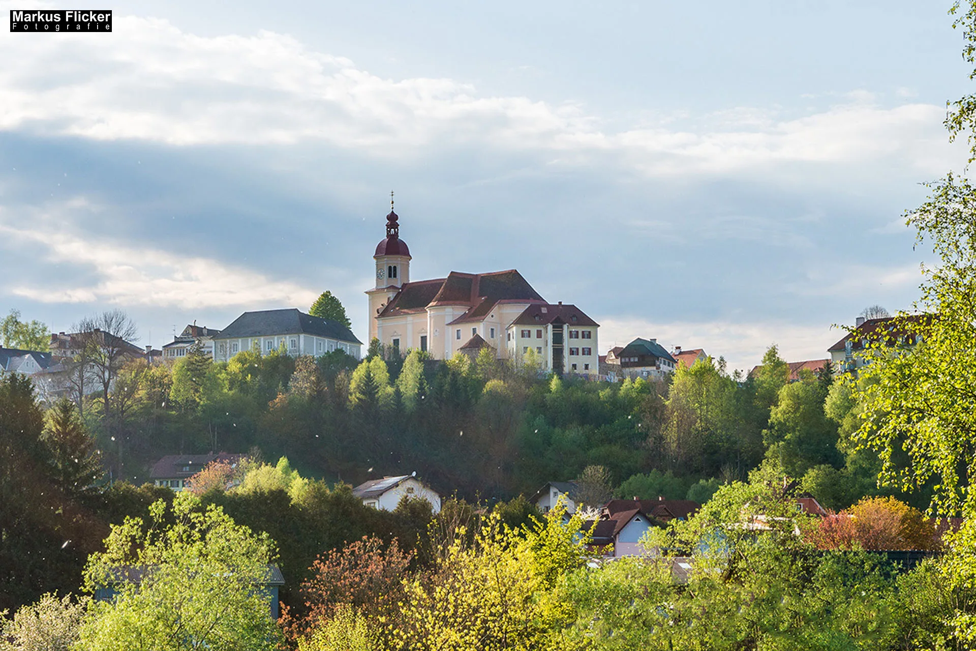 Flora Fauna Landscape Street Travel Photography Portfolio