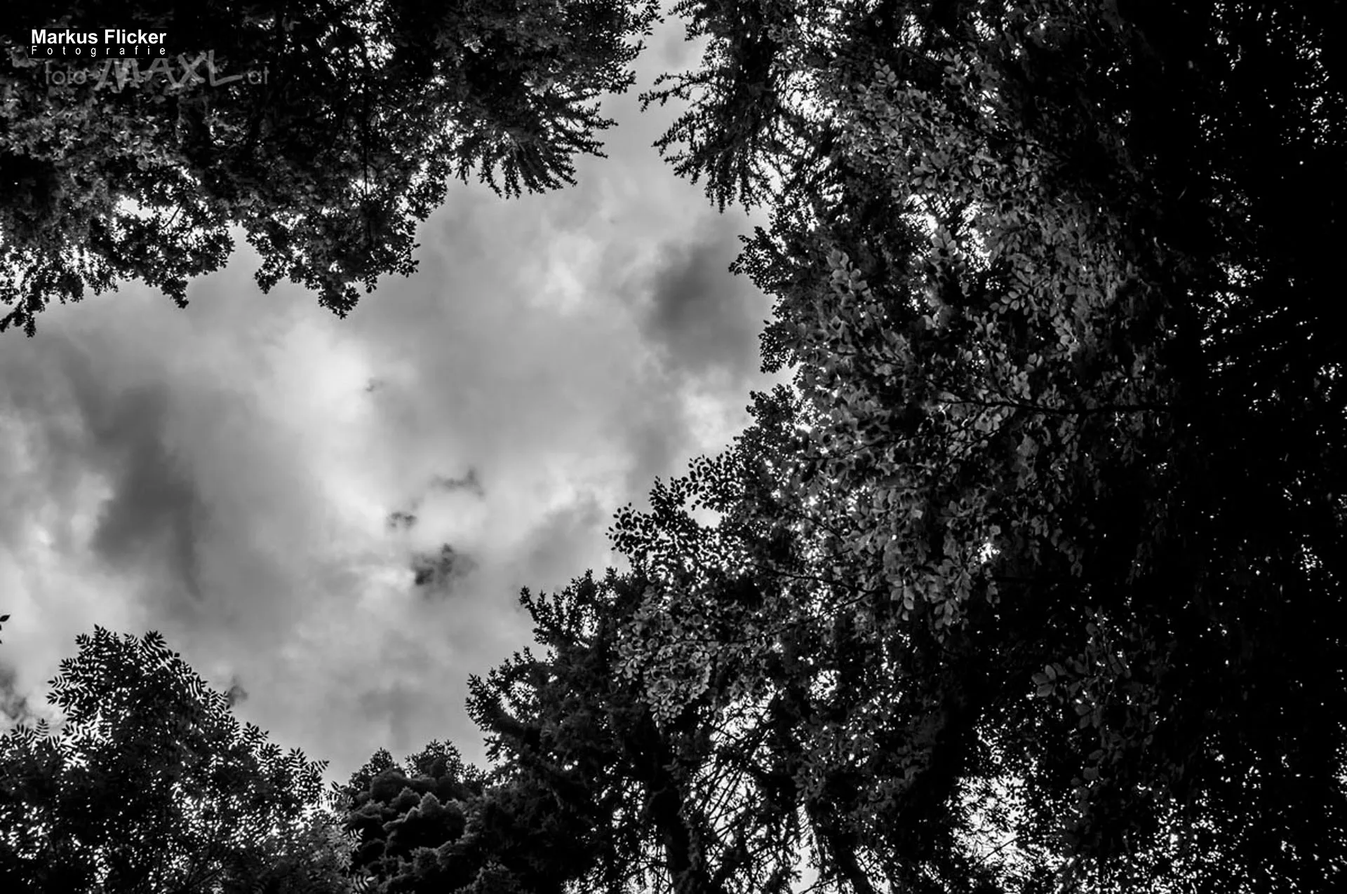 Flora Fauna Landscape Street Travel Photography Portfolio