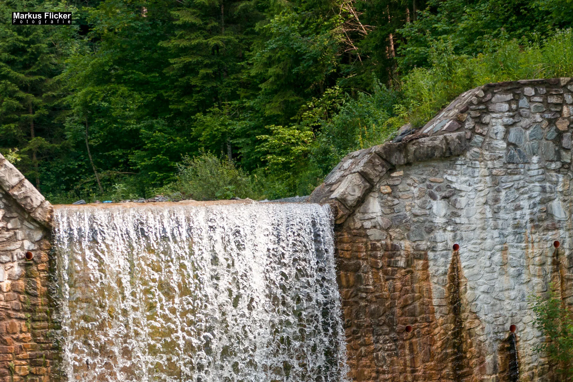 Flora Fauna Landscape Street Travel Photography Portfolio