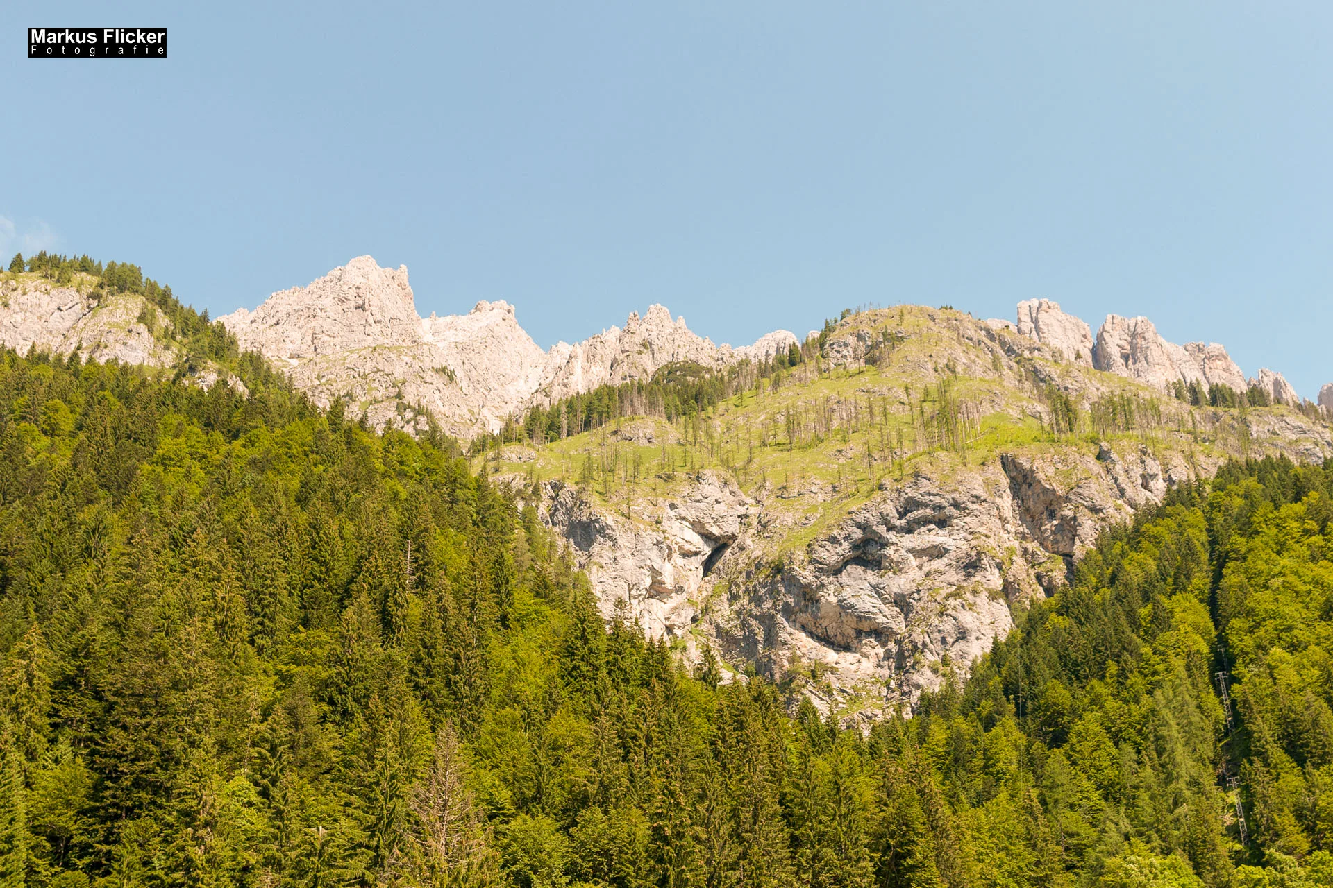 Flora Fauna Landscape Street Travel Photography Portfolio