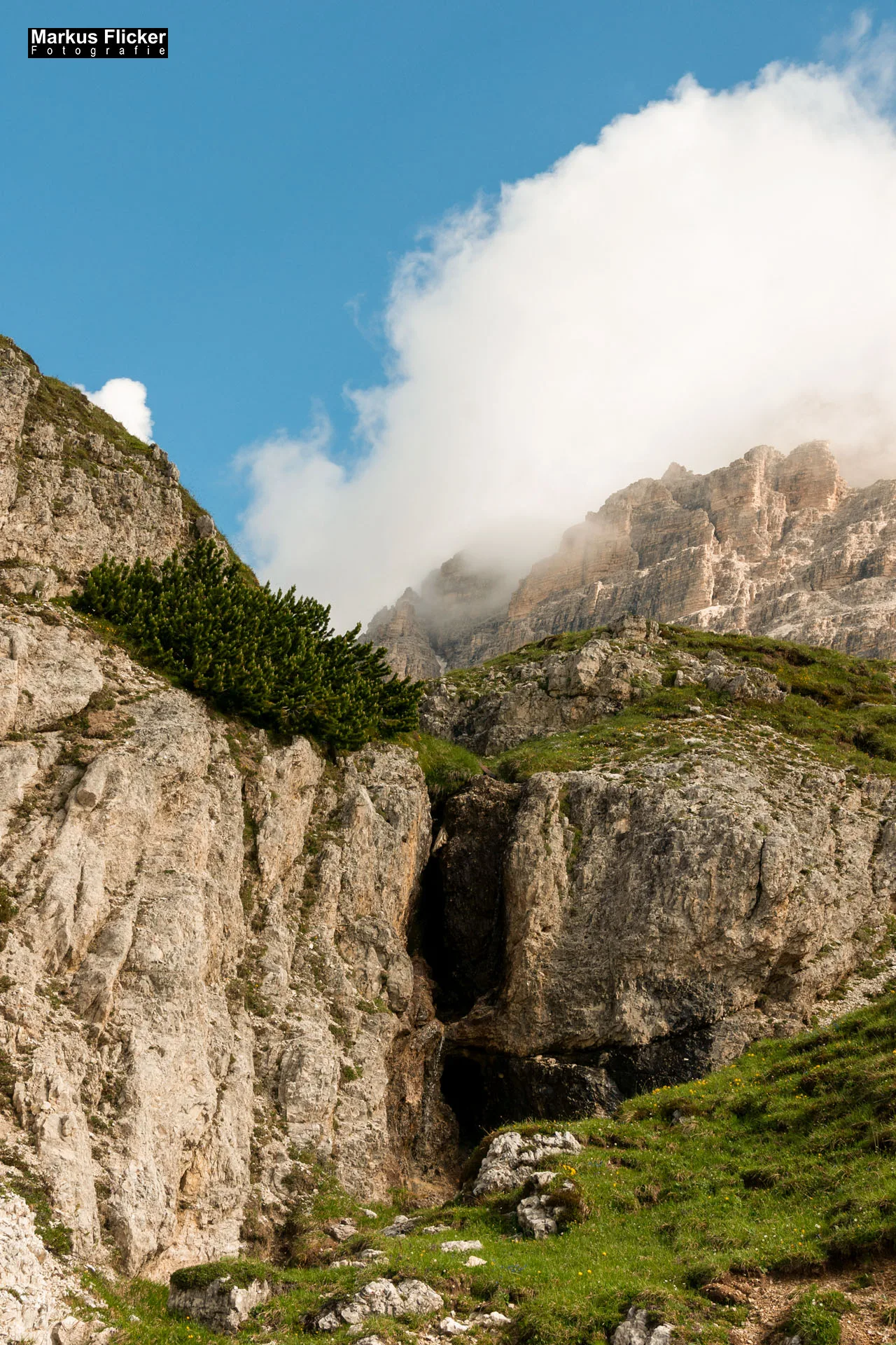 Flora Fauna Landscape Street Travel Photography Portfolio