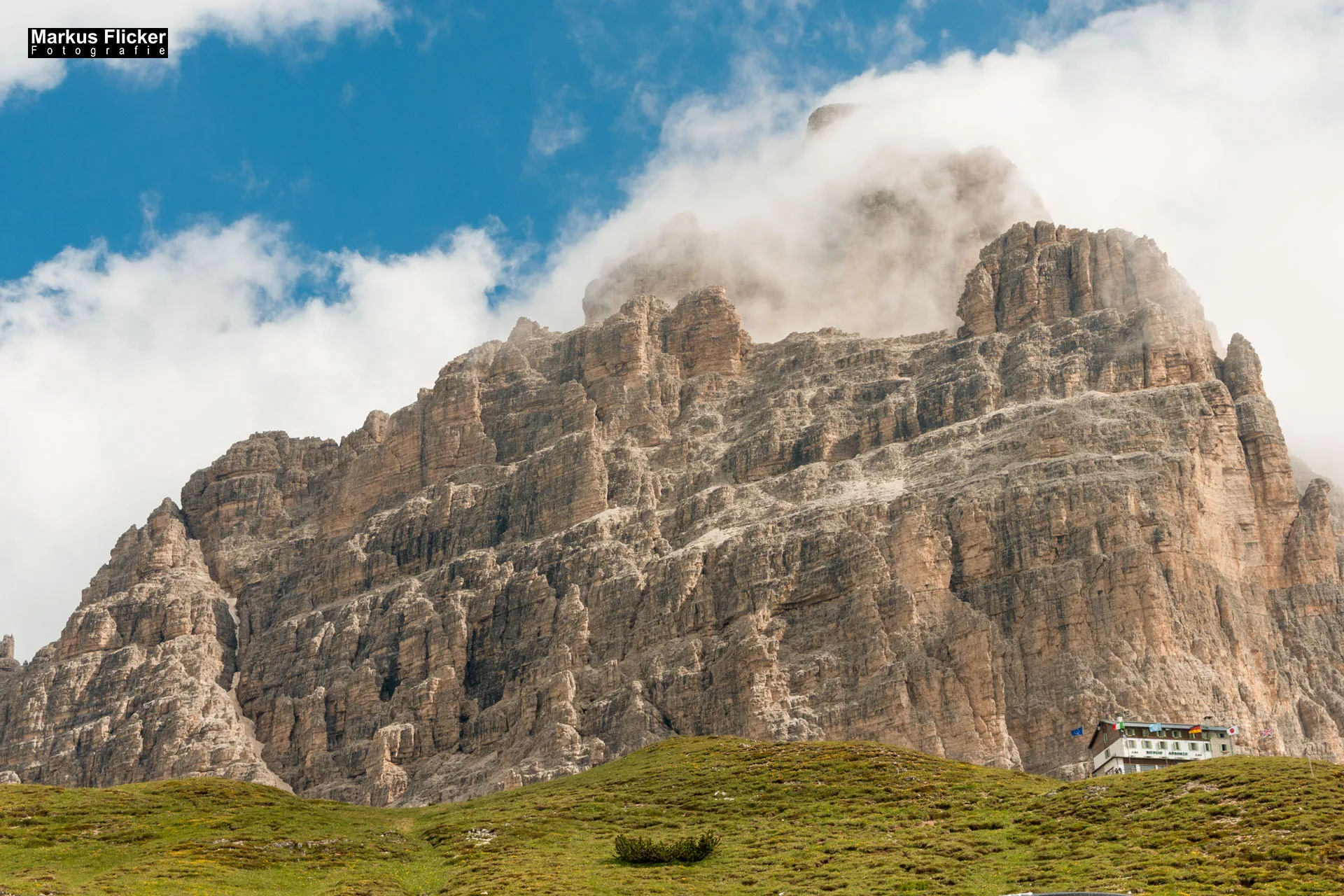 Flora Fauna Landscape Street Travel Photography Portfolio