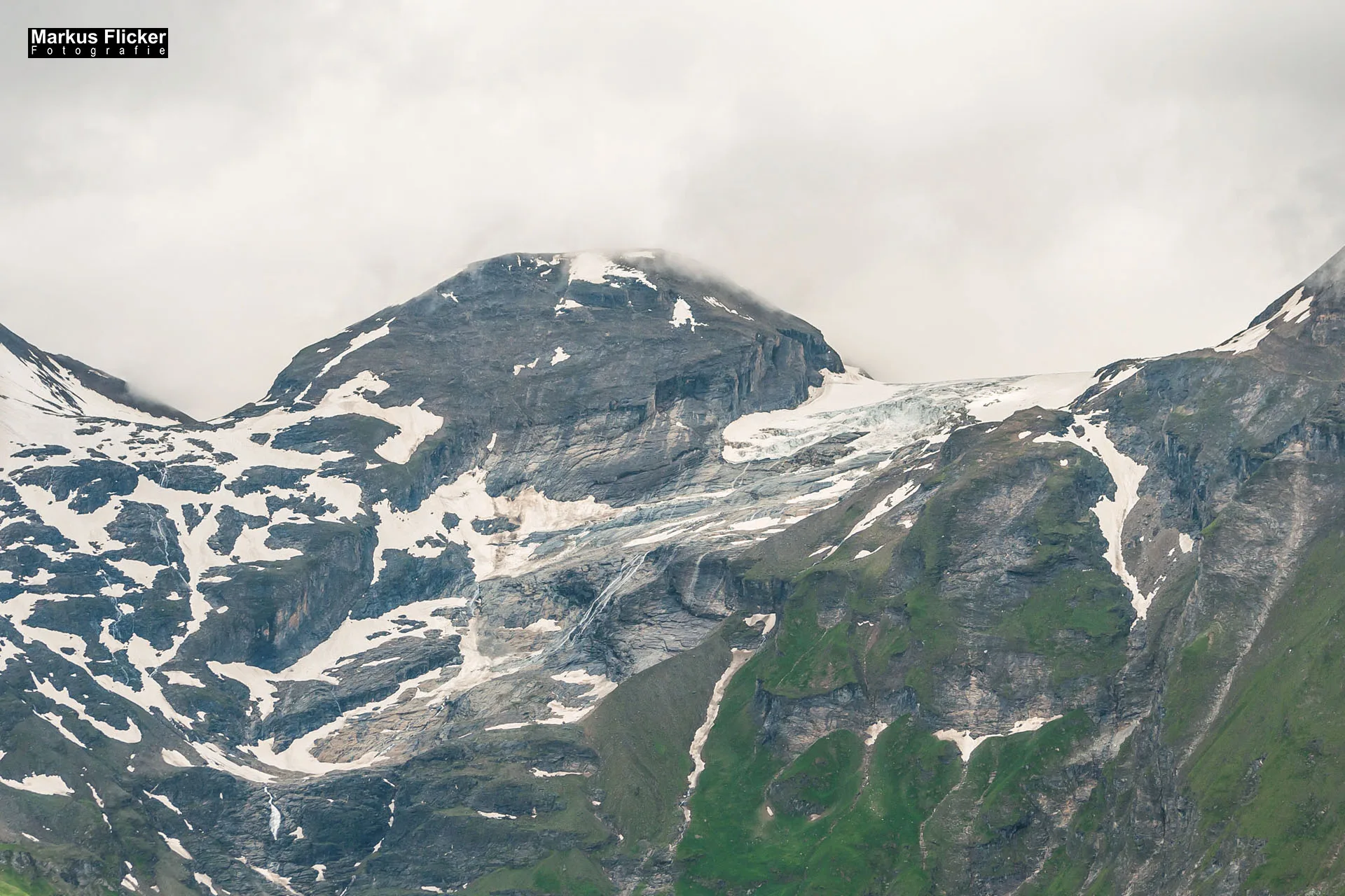 Flora Fauna Landscape Street Travel Photography Portfolio