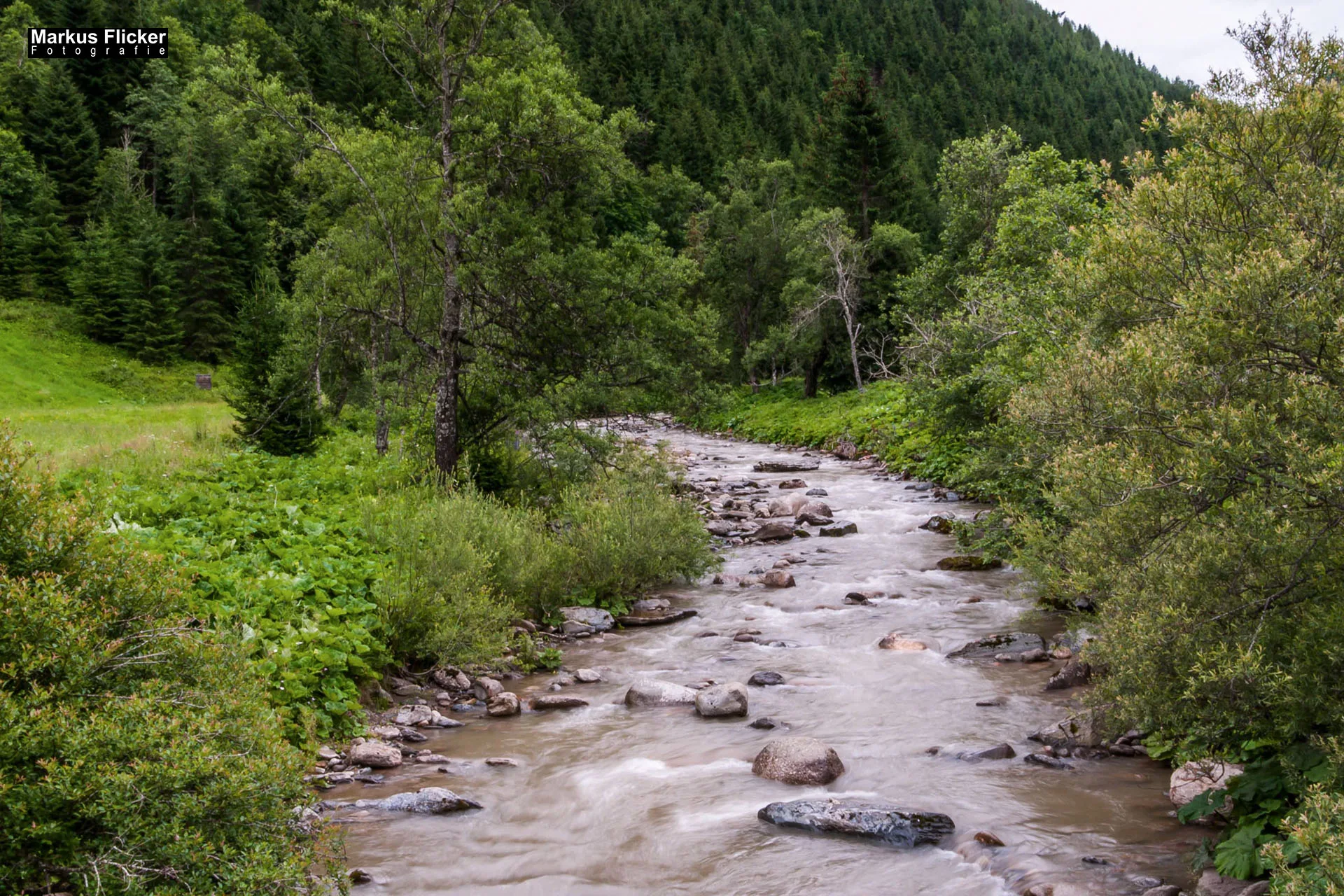 Flora Fauna Landscape Street Travel Photography Portfolio