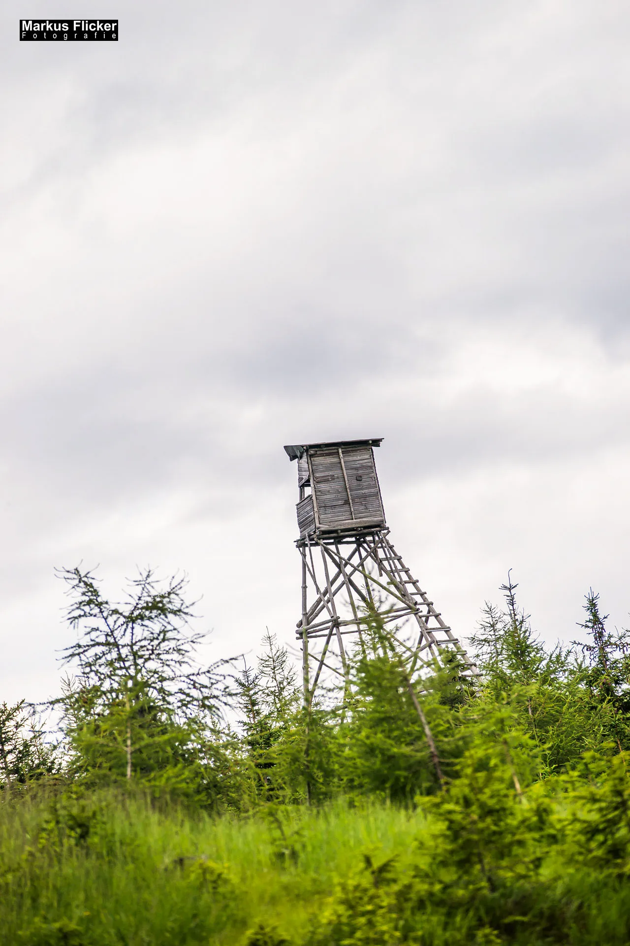 Flora Fauna Landscape Street Travel Photography Portfolio