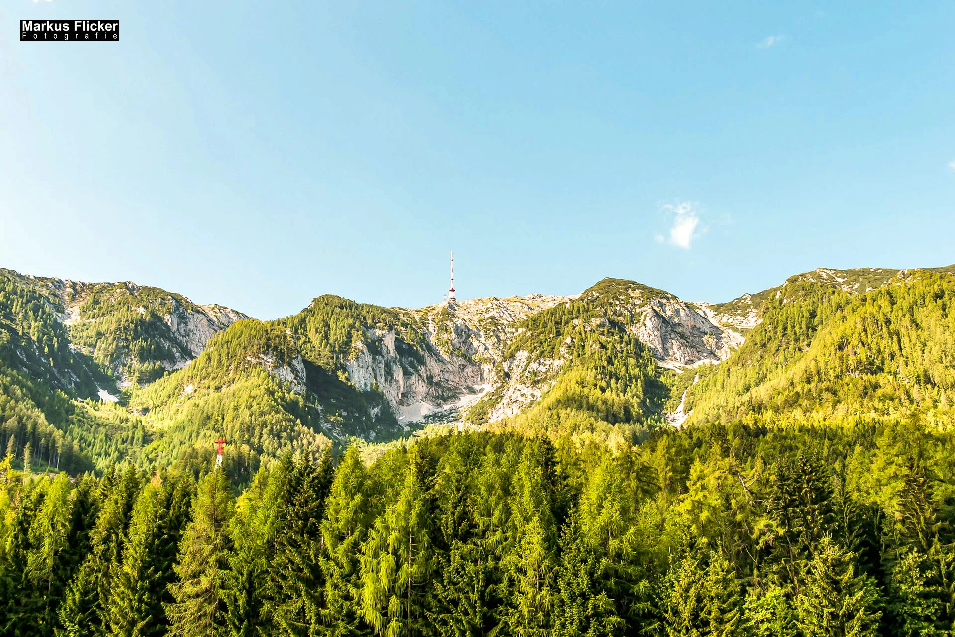 Flora Fauna Landscape Street Travel Photography Portfolio