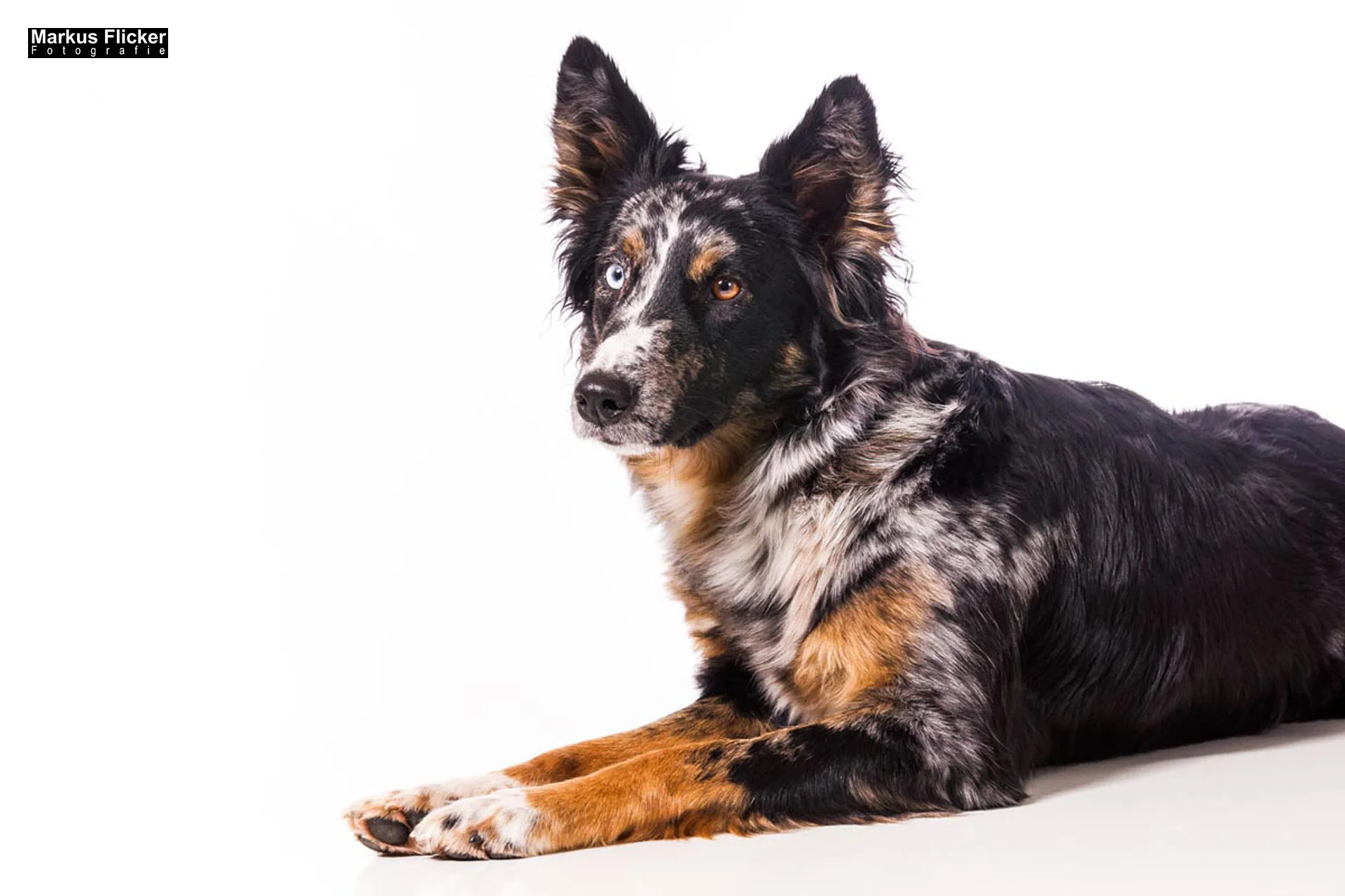 Flora Fauna Landscape Street Travel Photography Portfolio