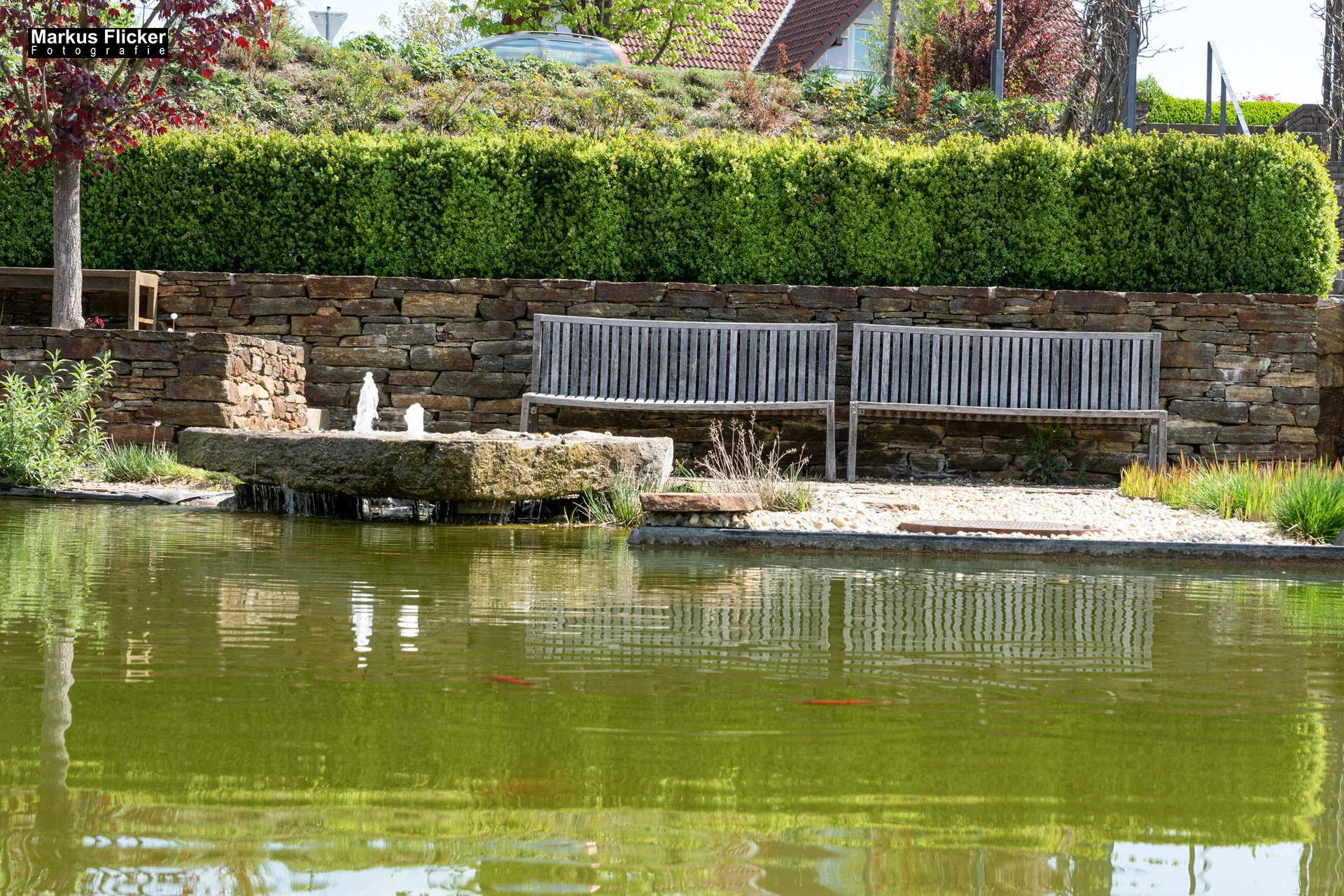 Flora Fauna Landscape Street Travel Photography Portfolio