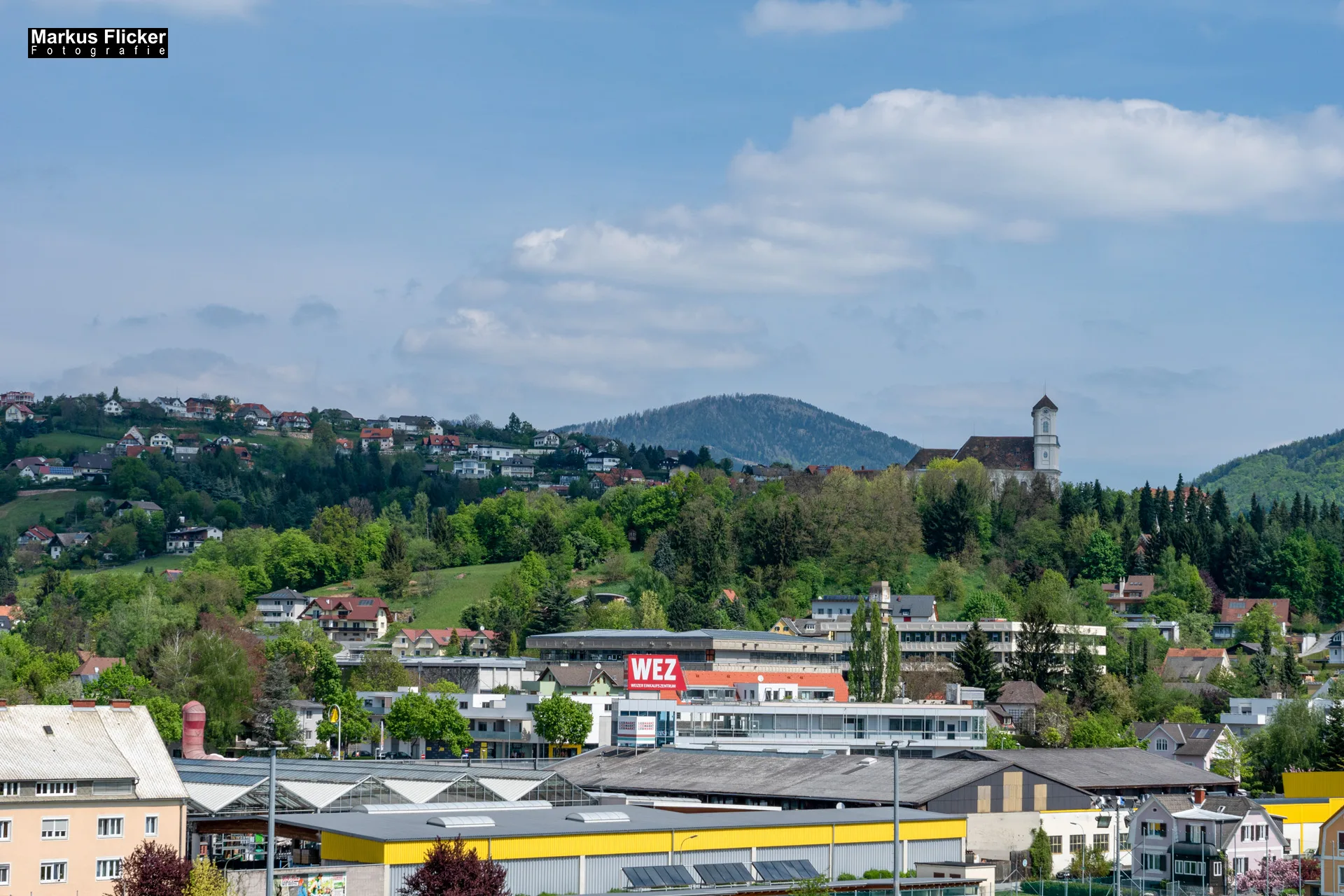 Flora Fauna Landscape Street Travel Photography Portfolio