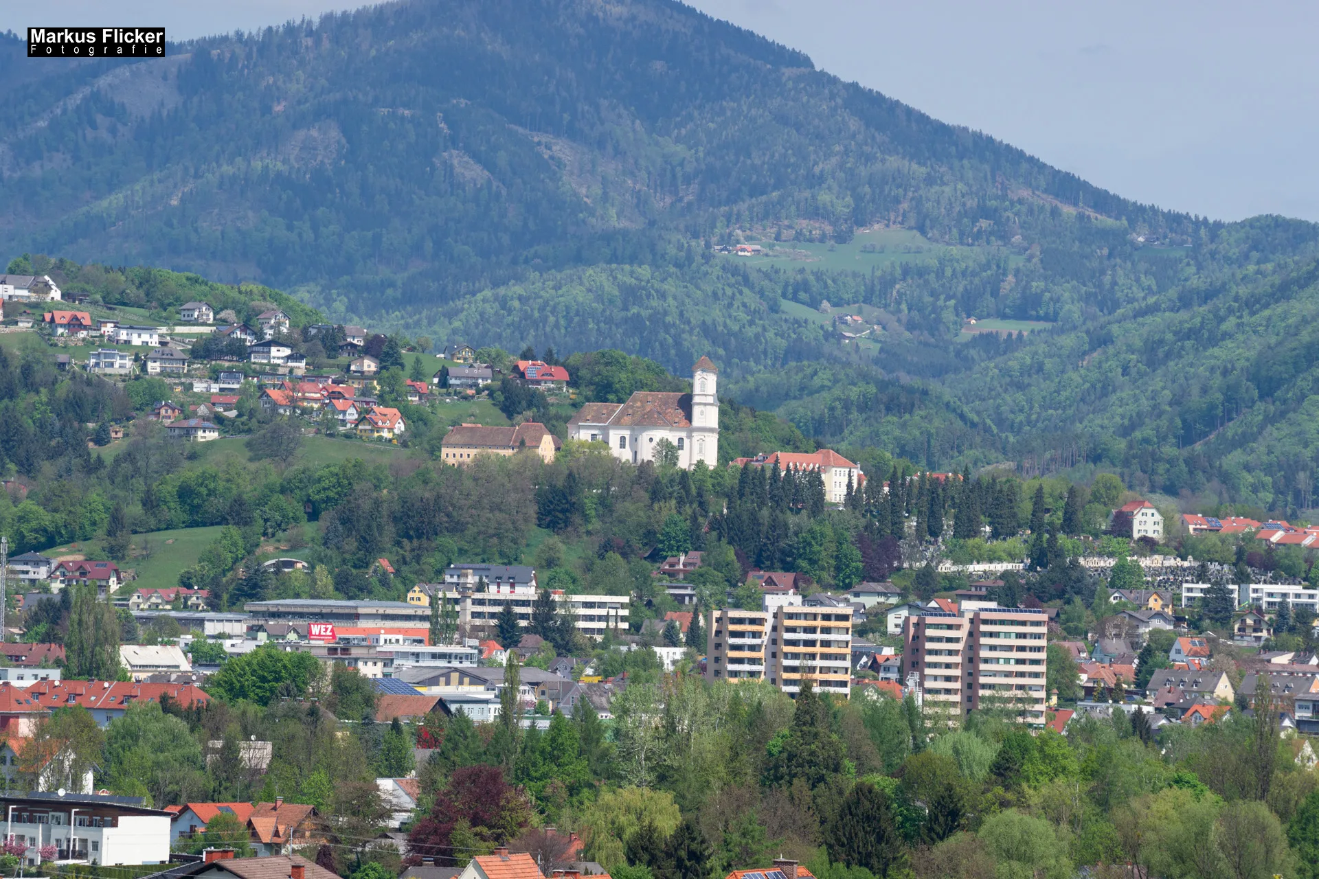 Flora Fauna Landscape Street Travel Photography Portfolio