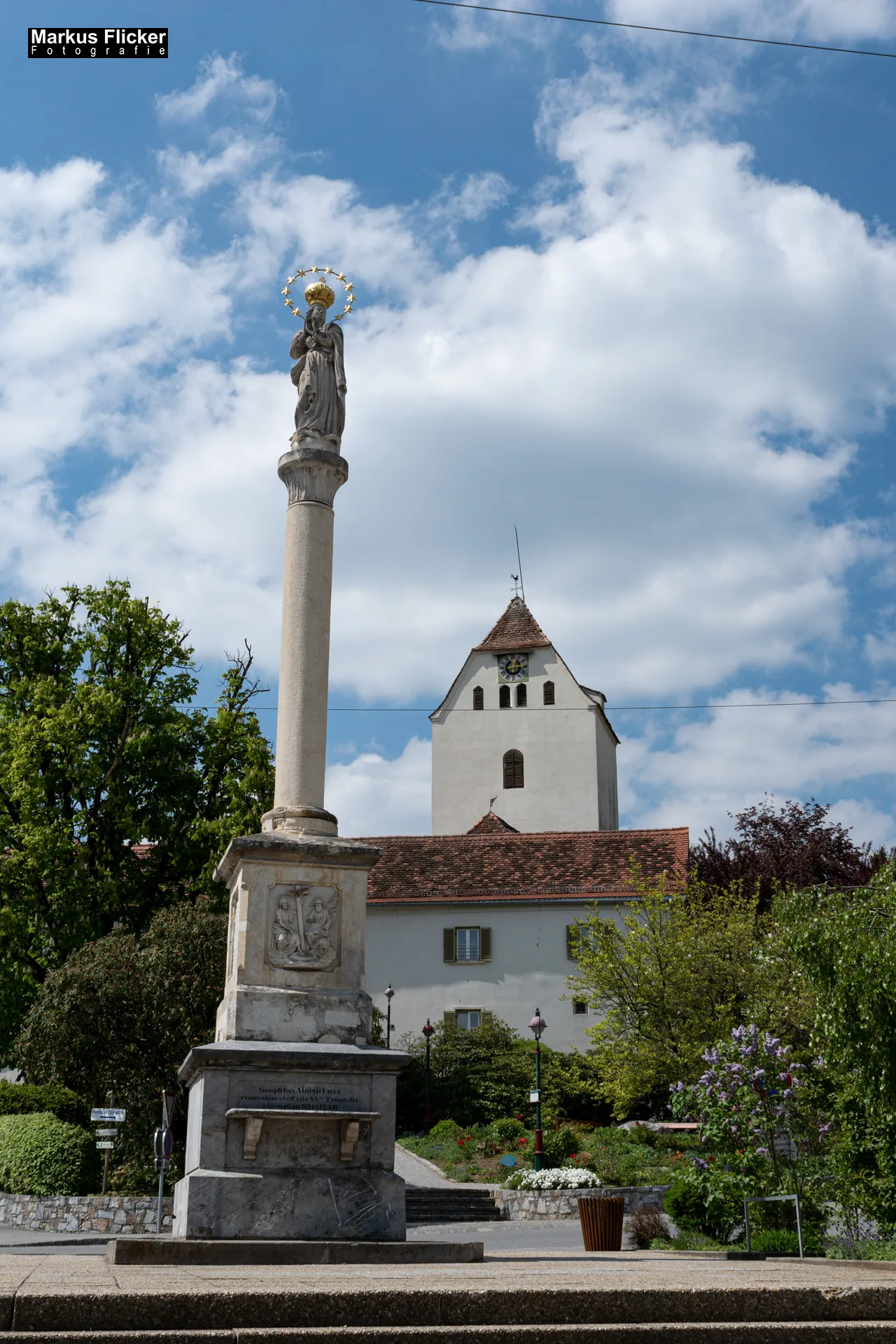 Flora Fauna Landscape Street Travel Photography Portfolio