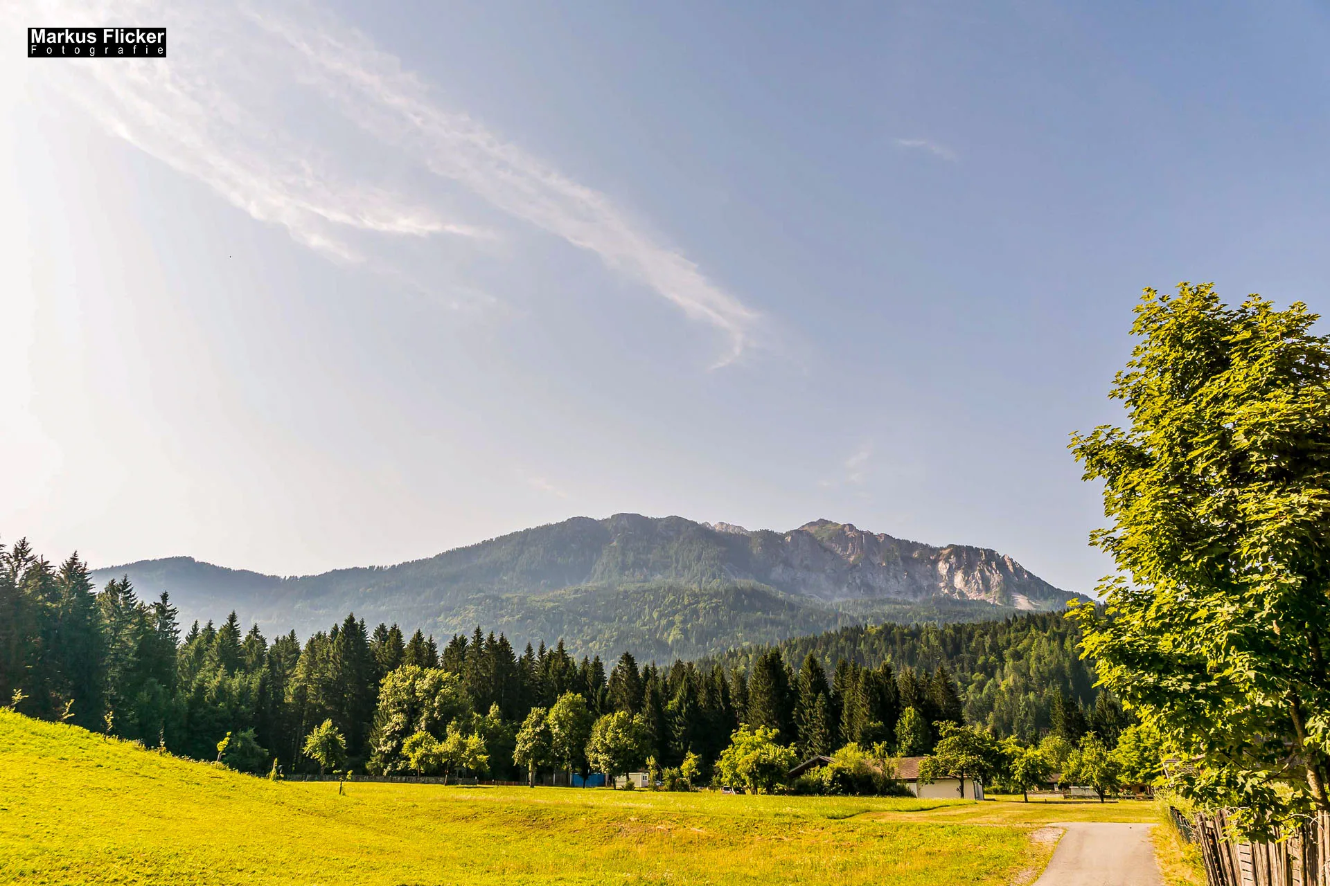 Flora Fauna Landscape Street Travel Photography Portfolio