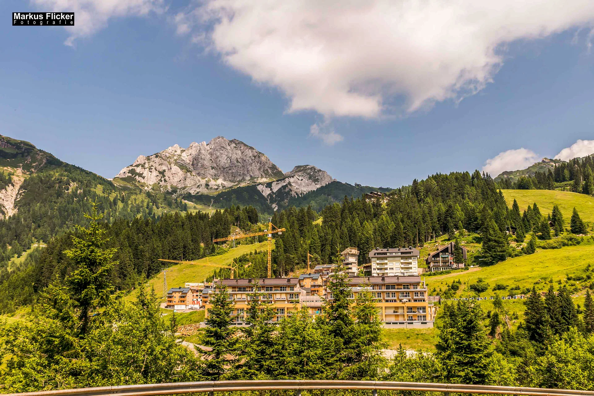 Flora Fauna Landscape Street Travel Photography Portfolio