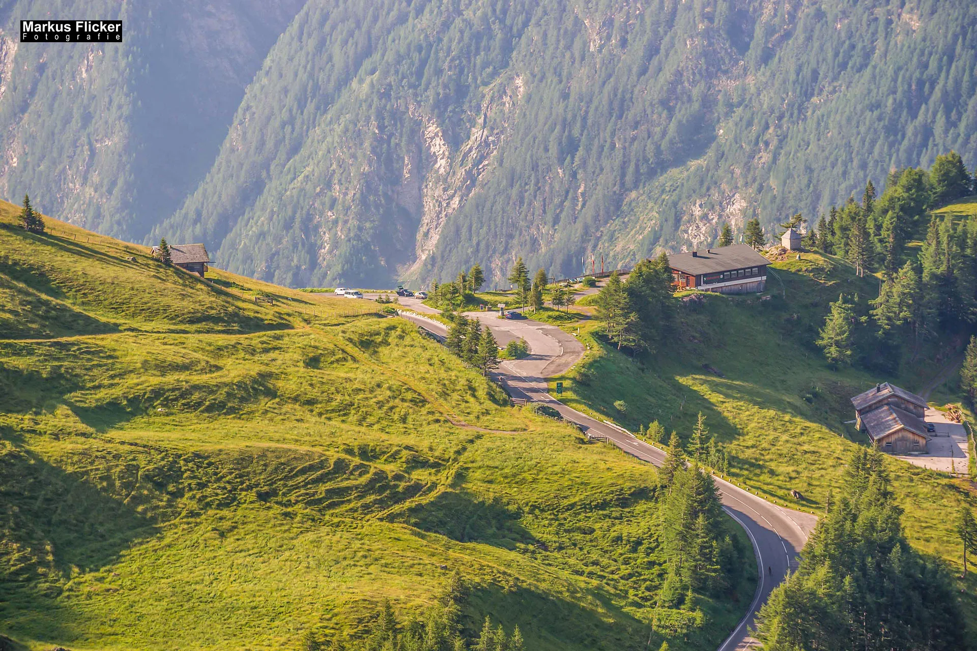 Flora Fauna Landscape Street Travel Photography Portfolio