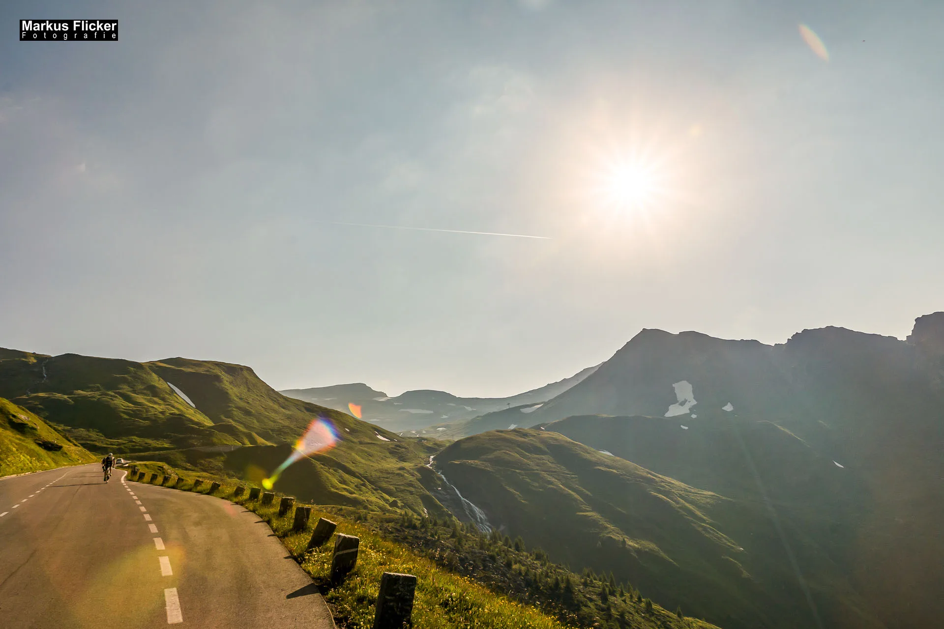 Flora Fauna Landscape Street Travel Photography Portfolio
