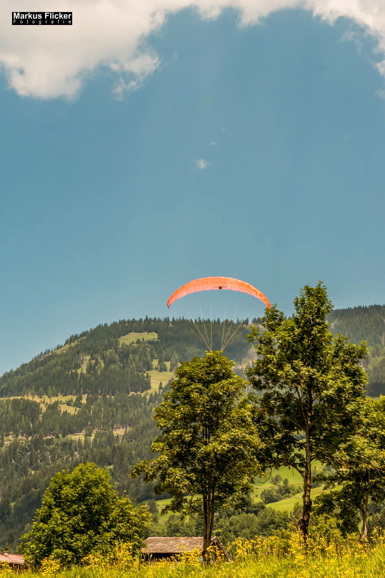 Flora Fauna Landscape Street Travel Photography Portfolio