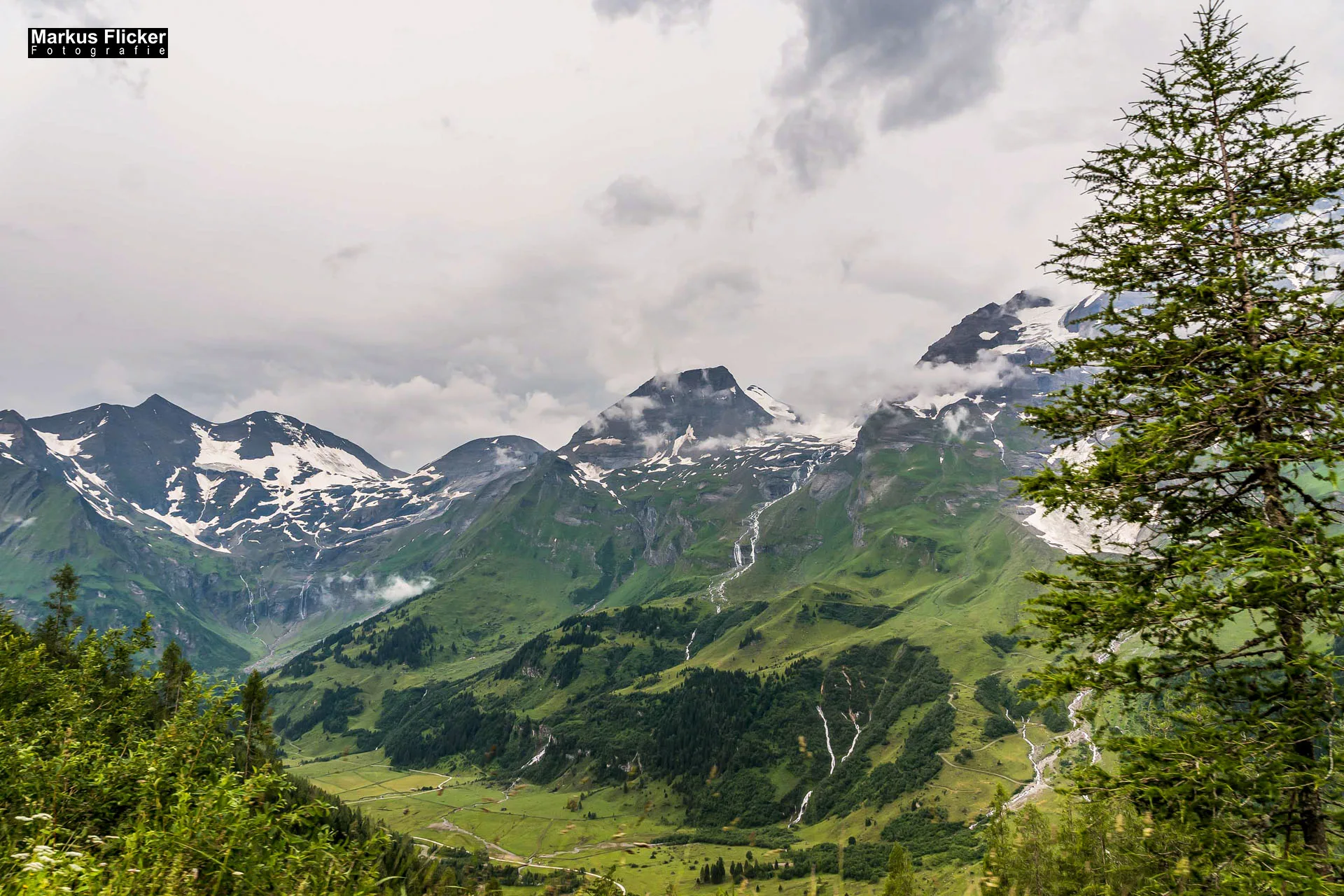 Flora Fauna Landscape Street Travel Photography Portfolio