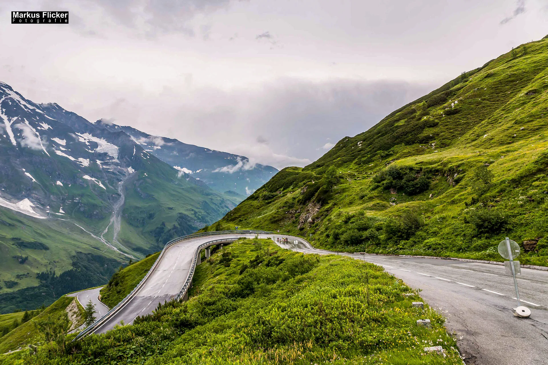 Flora Fauna Landscape Street Travel Photography Portfolio