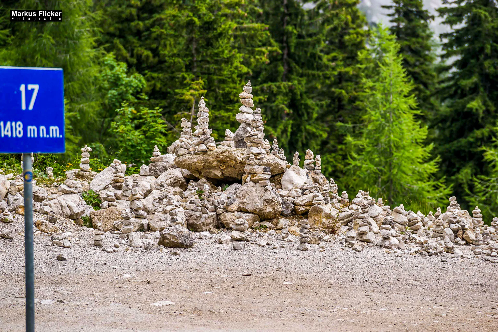 Flora Fauna Landscape Street Travel Photography Portfolio