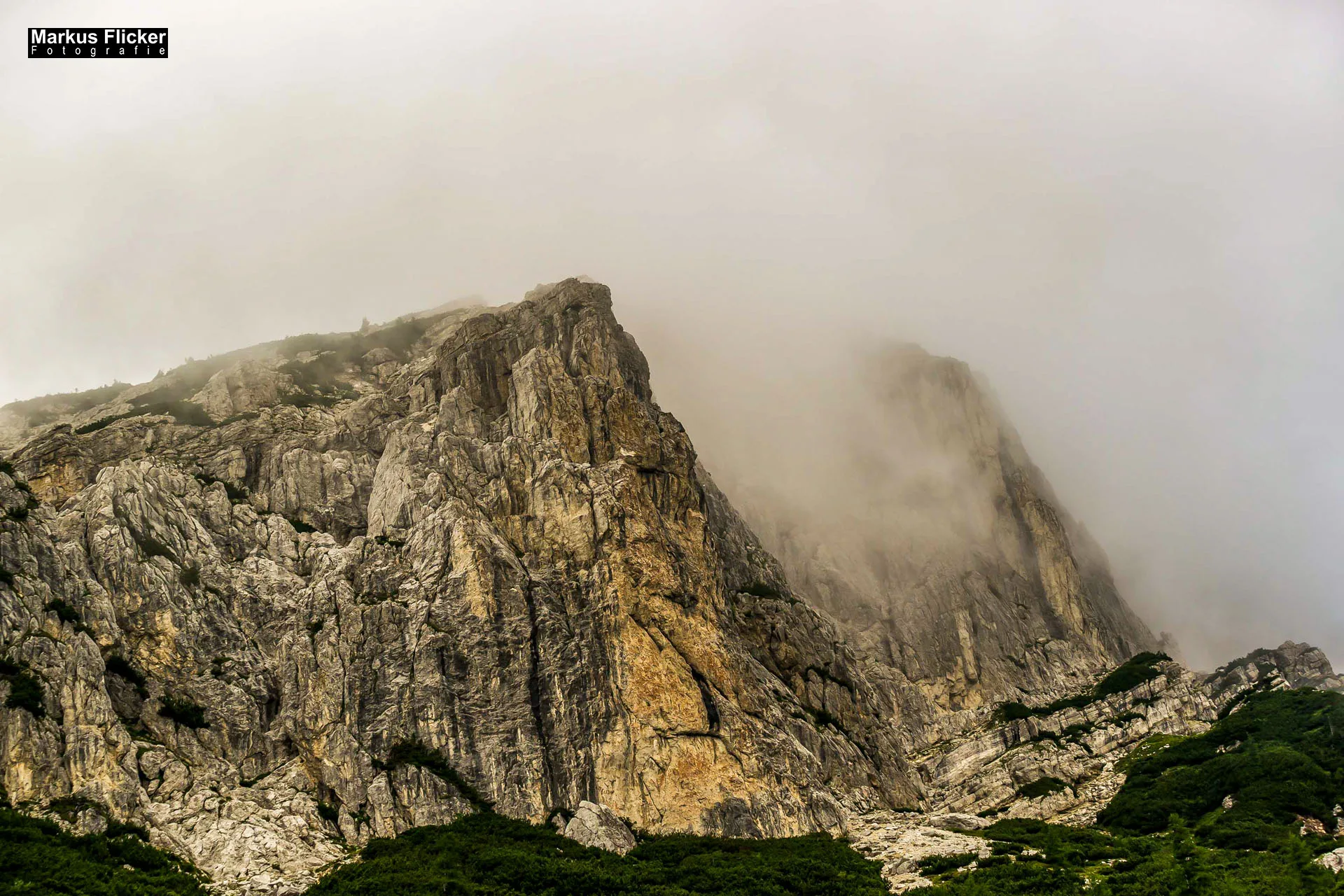 Flora Fauna Landscape Street Travel Photography Portfolio