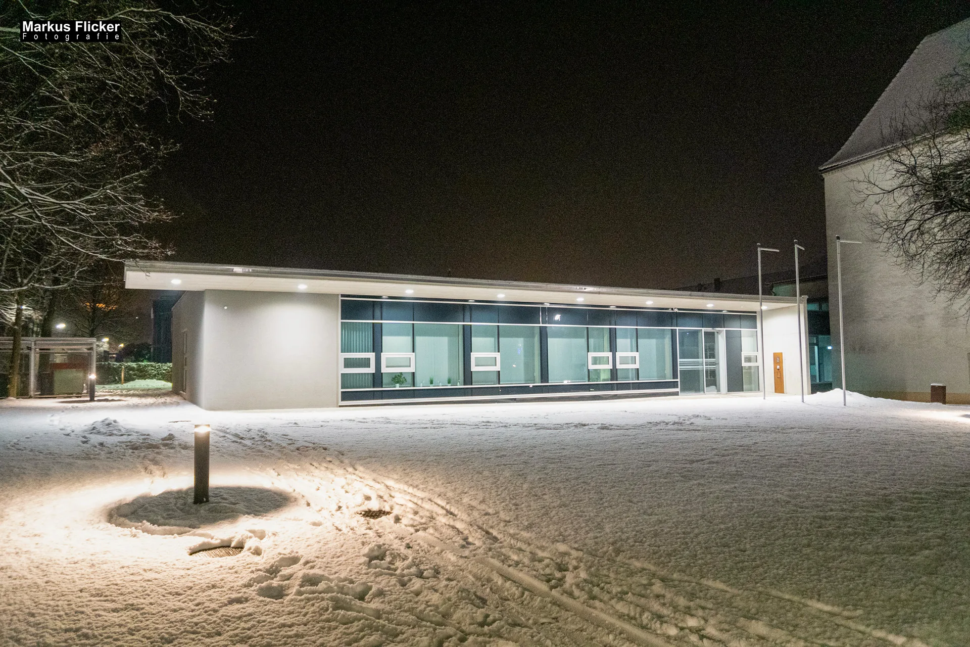 Flora Fauna Landscape Street Travel Photography Portfolio