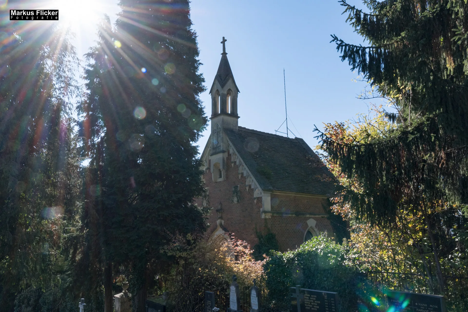 Flora Fauna Landscape Street Travel Photography Portfolio