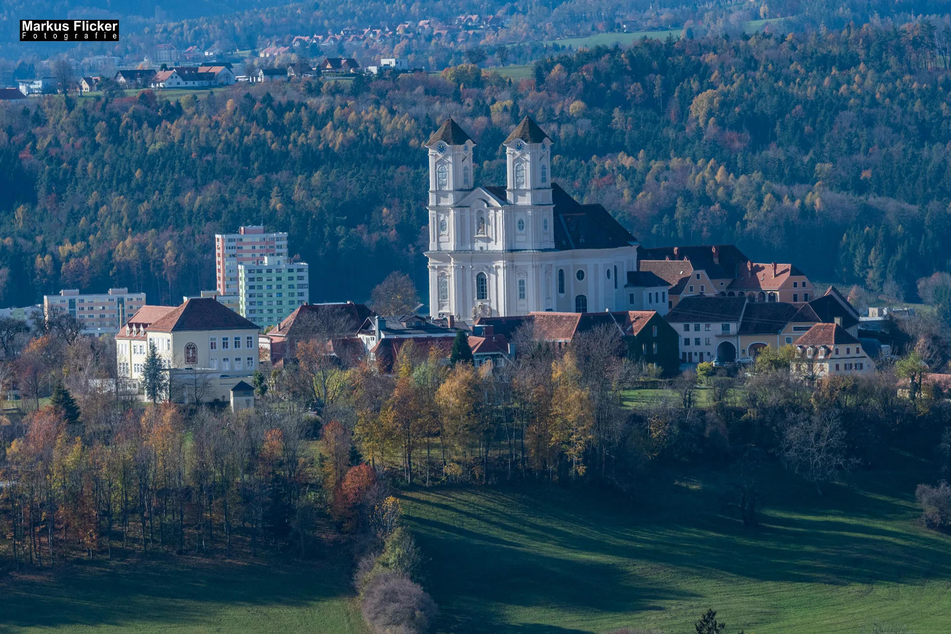 Flora Fauna Landscape Street Travel Photography Portfolio