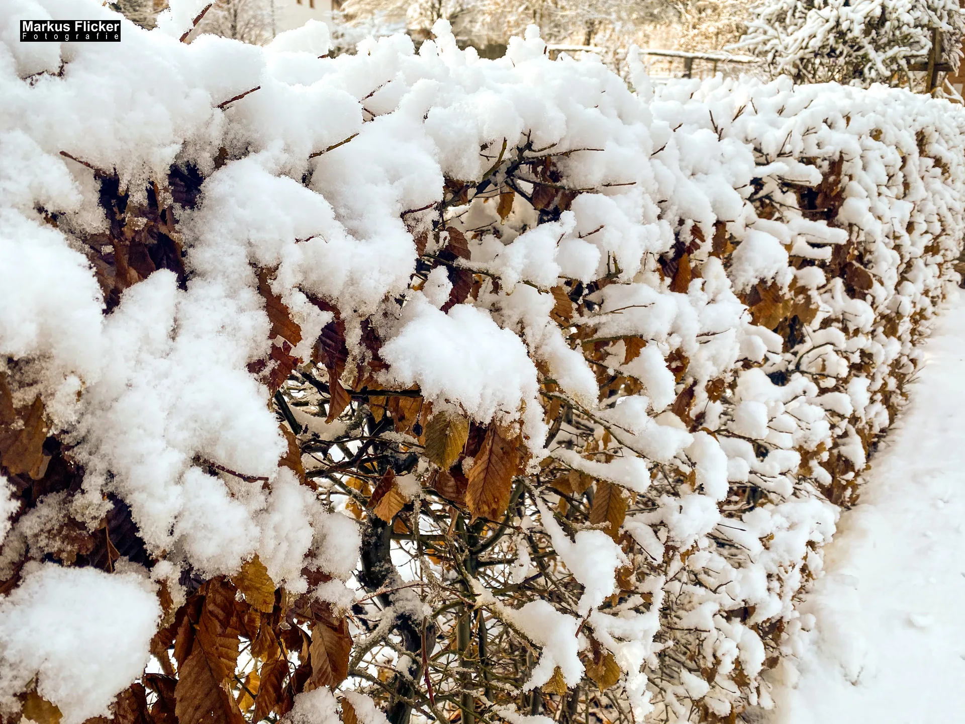 Winter Schnee Fotos Natur mit Smartphone oder Profi Kamera in der Steiermark Landschaftsfotos Österreich