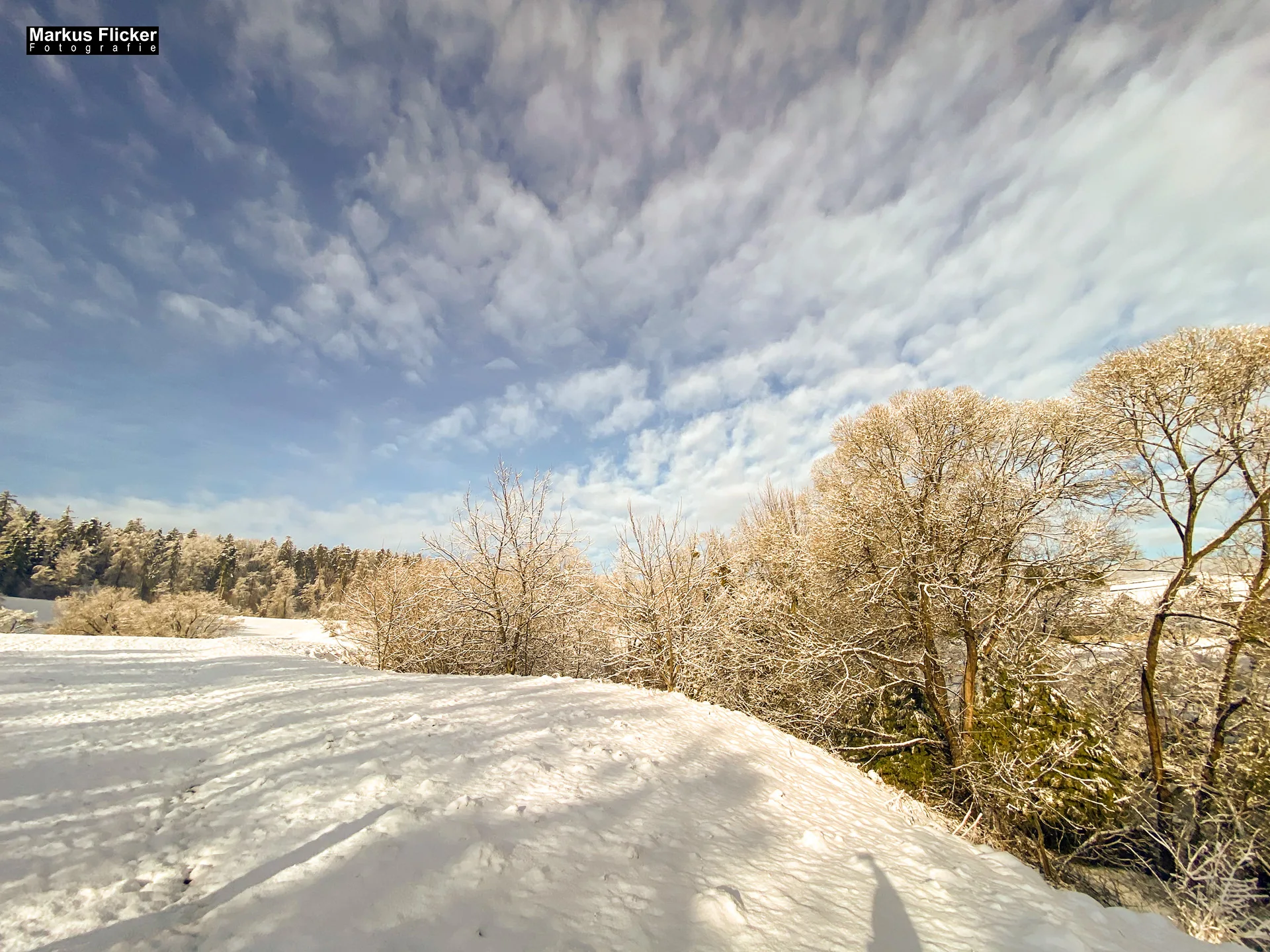 Winter Schnee Fotos Natur mit Smartphone oder Profi Kamera in der Steiermark Landschaftsfotos Österreich