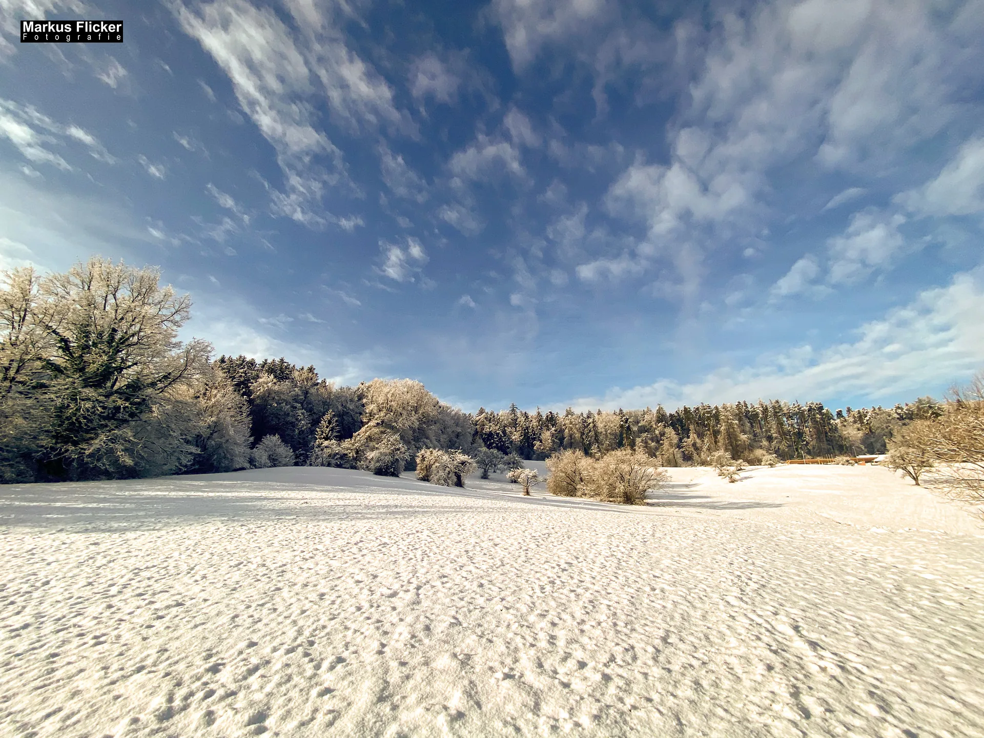 Winter Schnee Fotos Natur mit Smartphone oder Profi Kamera in der Steiermark Landschaftsfotos Österreich