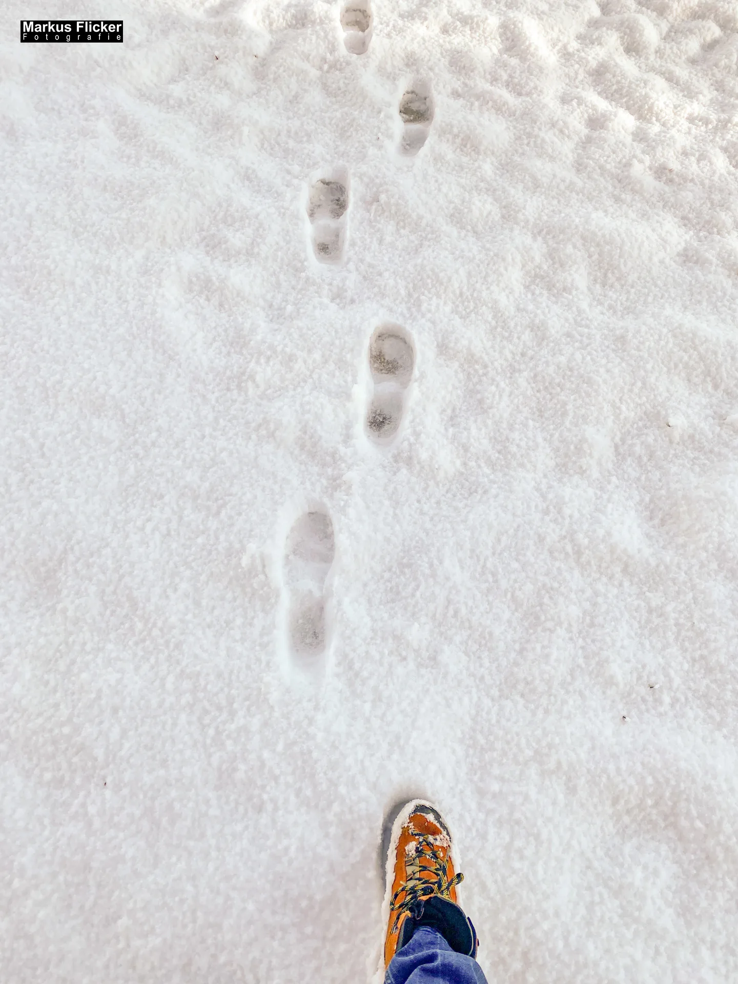 Winter Schnee Fotos in der Steiermark Landschaftsfotos Österreich