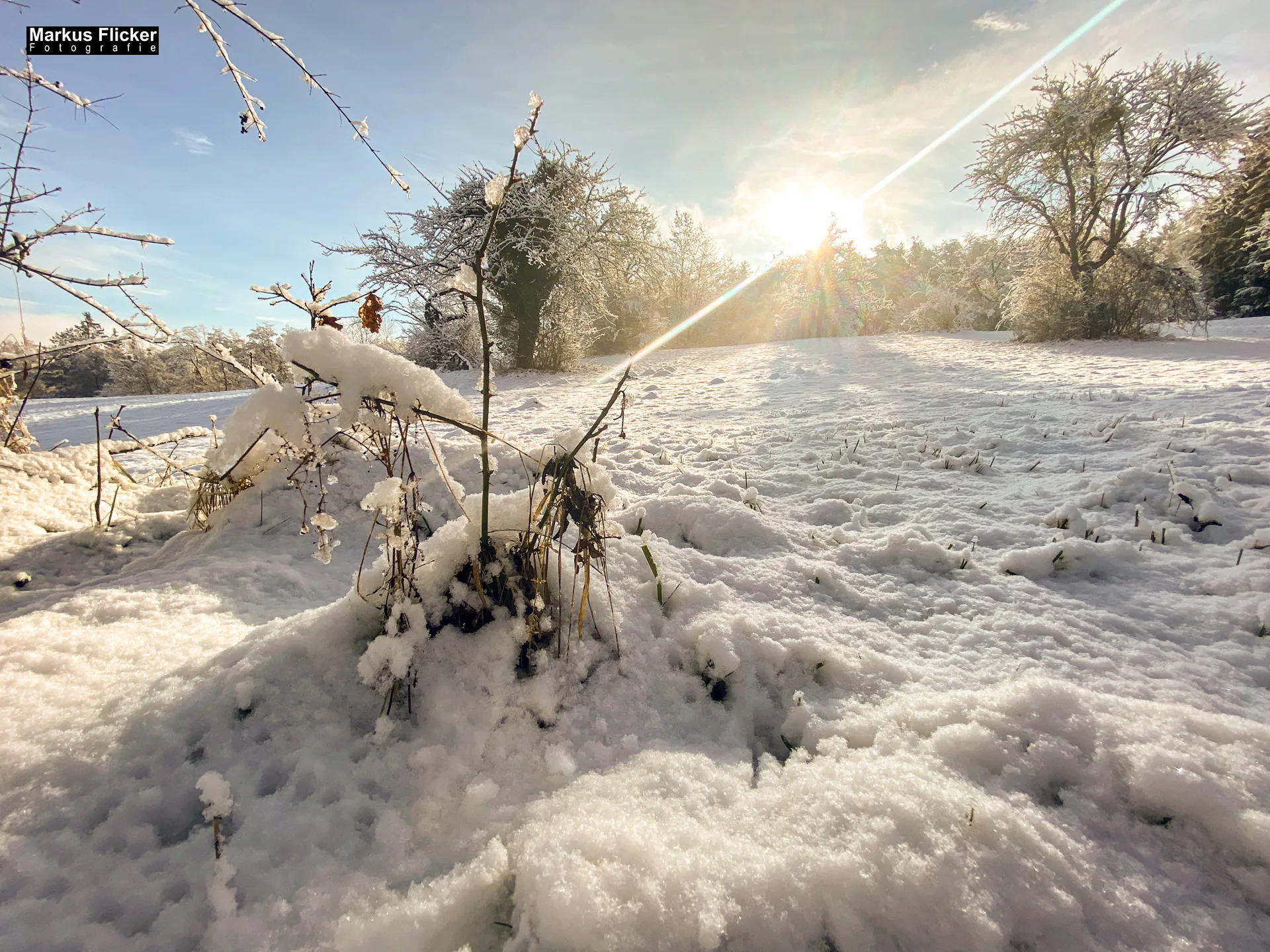Winter Schnee Fotos Natur mit Smartphone oder Profi Kamera in der Steiermark Landschaftsfotos Österreich