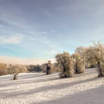 Winter Schnee Fotos Natur mit Smartphone oder Profi Kamera in der Steiermark Landschaftsfotos Österreich