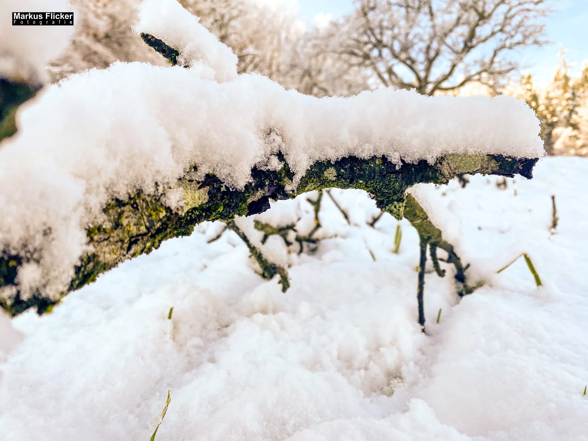 Winter Schnee Fotos in der Steiermark Landschaftsfotos Österreich
