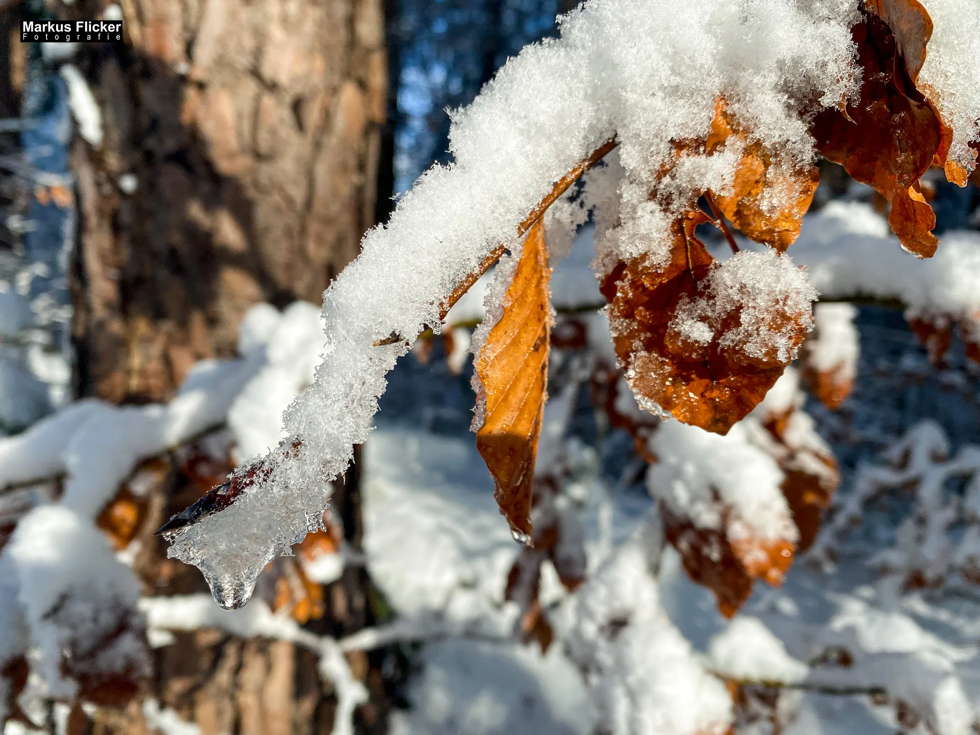 Winter Schnee Fotos in der Steiermark Landschaftsfotos Österreich